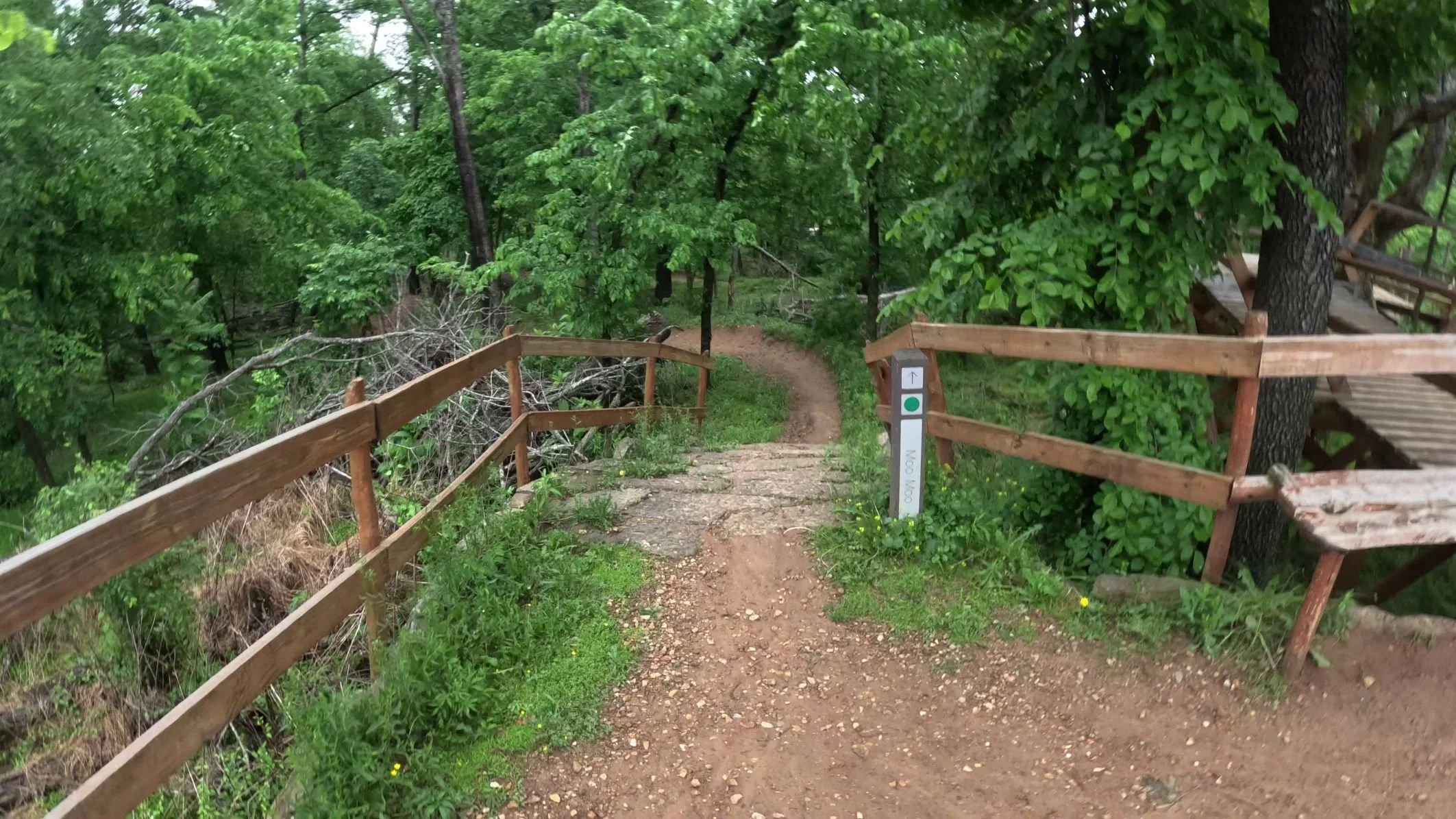 An image of the trailhead of Moo Moo In Bentonville's Slaughter Pen Trail System