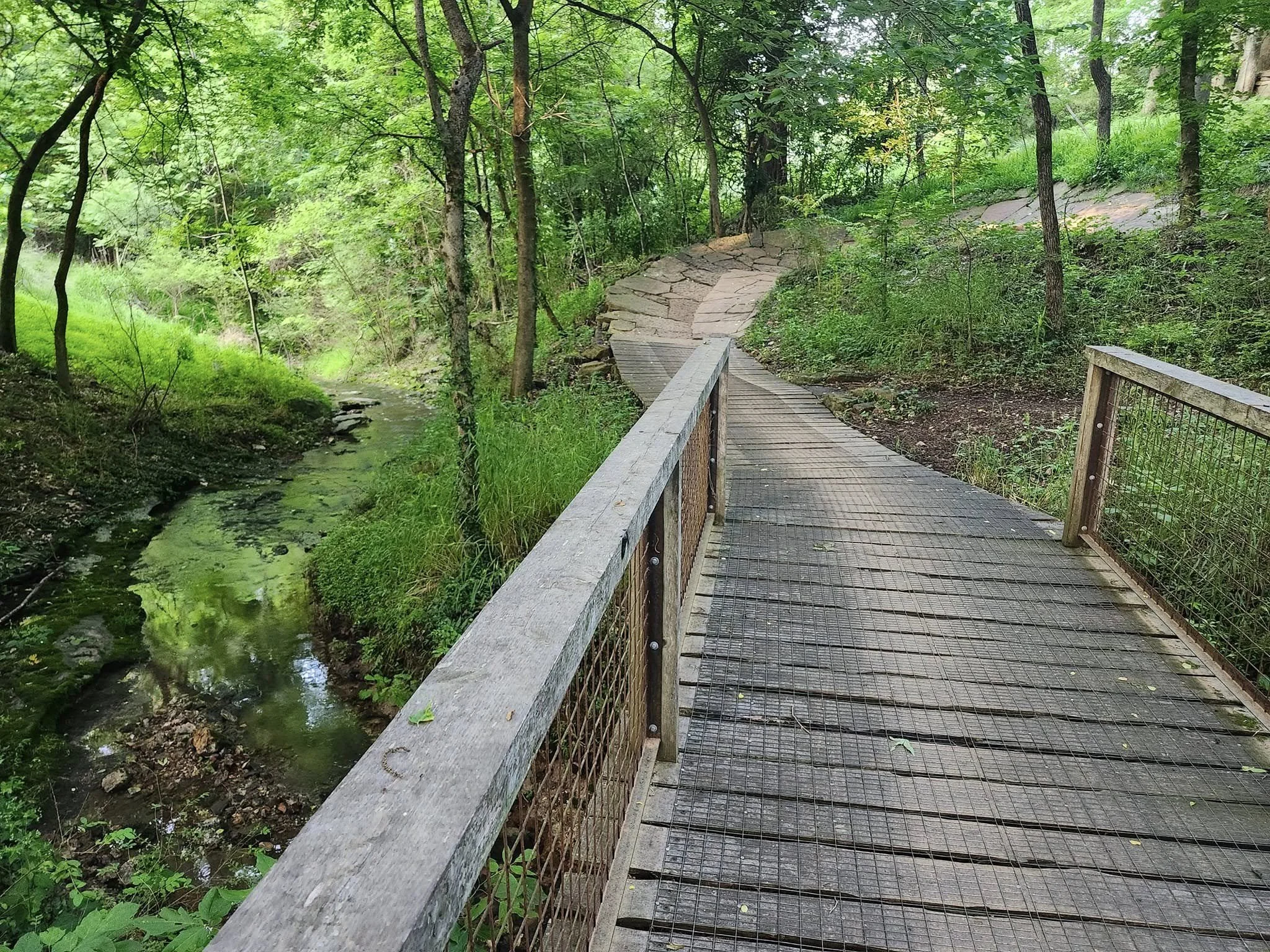 Family Friendly Bike Trails in Bentonville