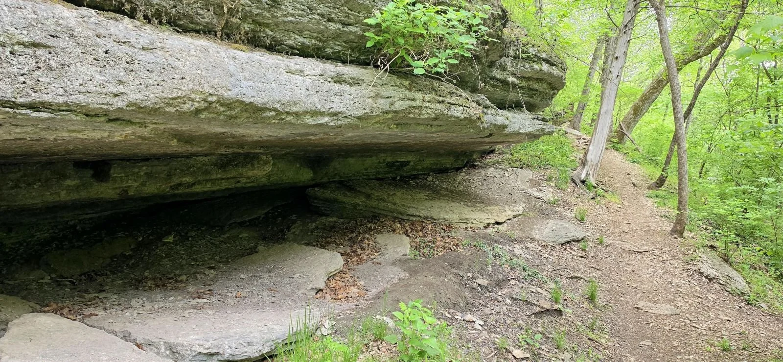 Blowing Springs Trail Guide: The 4-Mile Loop and Bella Vista's Best Basecamp
