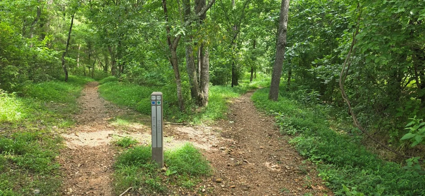A picture of where Snowbird and the Back 40 split off after they combined for a short distance