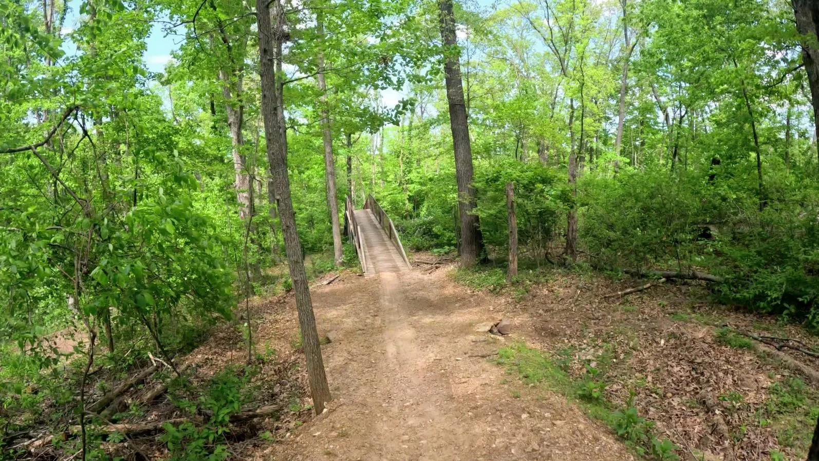 Family Flow trail before the wooden bridge.