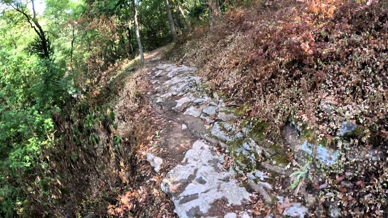 Lower Oscar's Loop singletrack showing a section where wet rock covers the trail making it uneven and a little slippery