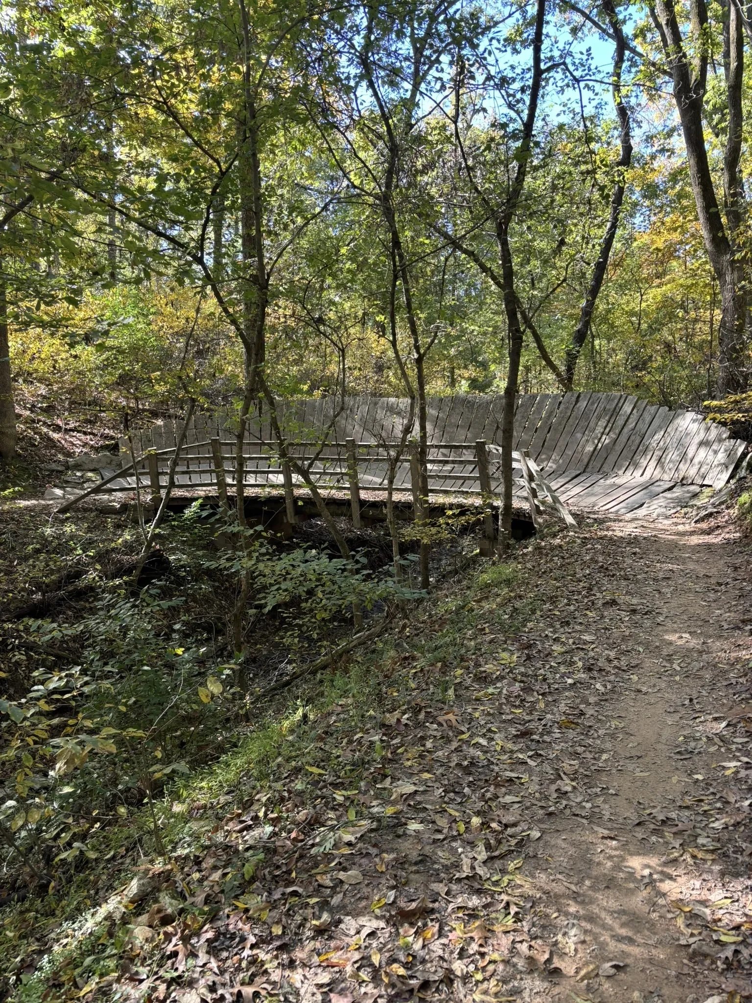 A wooden berm that is also a bridge across a small creek on the Esther's Loop Trail The trail is surrounded by green trees commonly found in the Coler MTB Preserve Trail system in Bentonville Arkansas.
