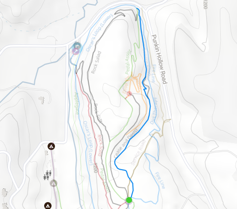 An trail map of Dirt Therapy a Downhill trail in Coler MTB Preserve in Bentonville Arkansas