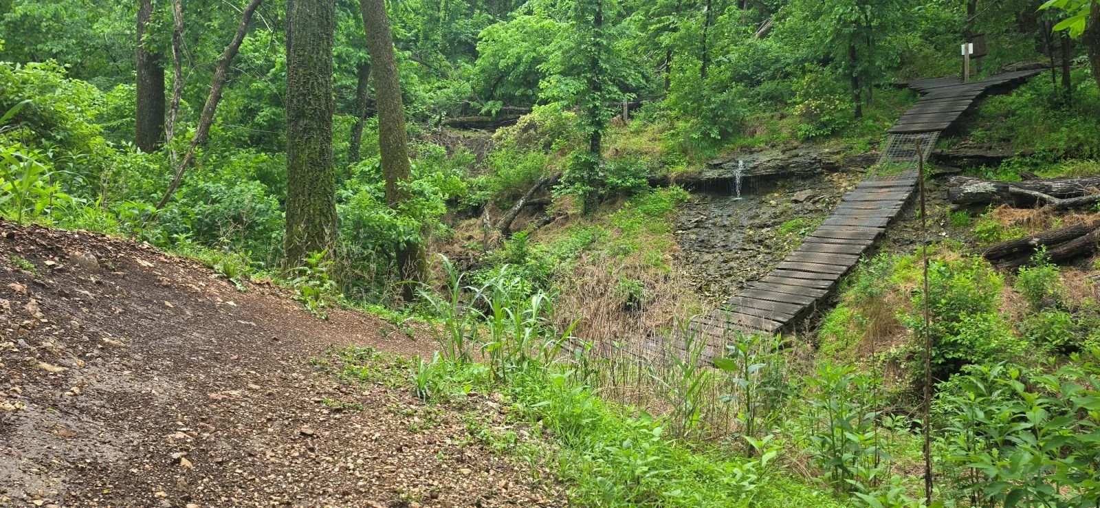 A picture showing the dramatic drop from the trailhead past the creek and into a berm on Berm Creek Trail in Slaughter Pen