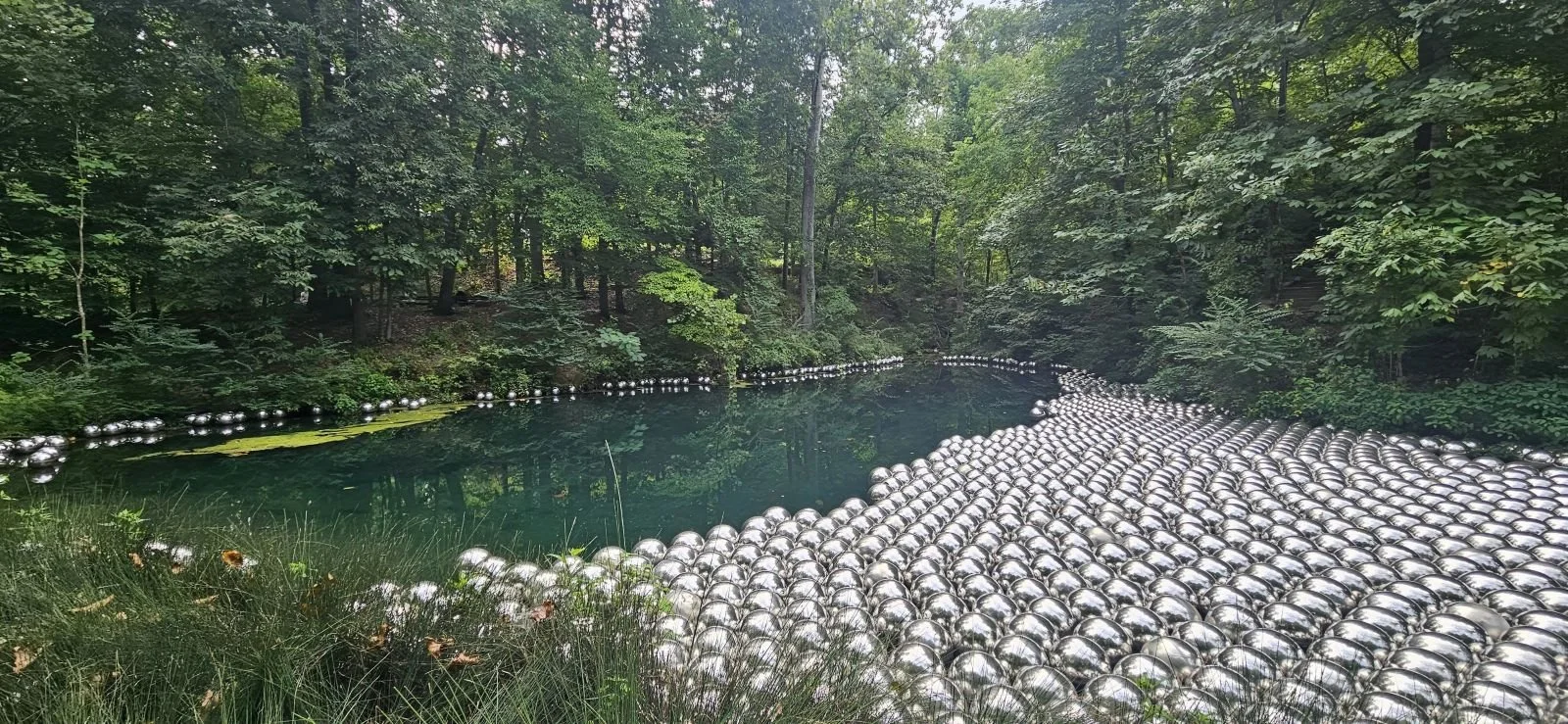 A summer time view of the pond found along side the Art Trail showing the chrome balls in a different area of the pond