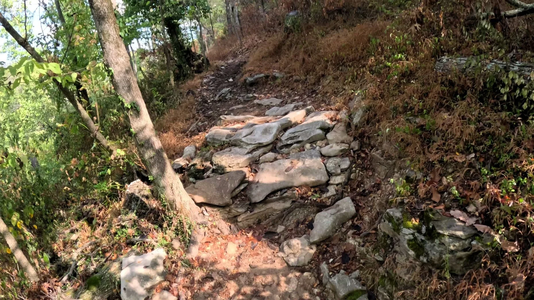 A rocky obstacle you will encounter on this section of Oscar's Loop. you can see where other bikes have hit as they have attempted to pass this steep rocky obstacle