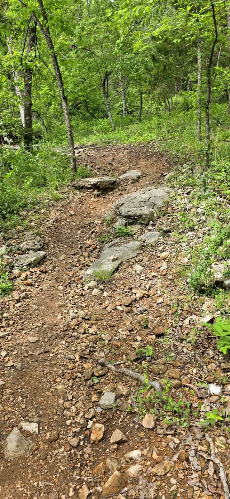 An image of one of the rocky parts of Mother Necessity a return trail in Handcut Hollow