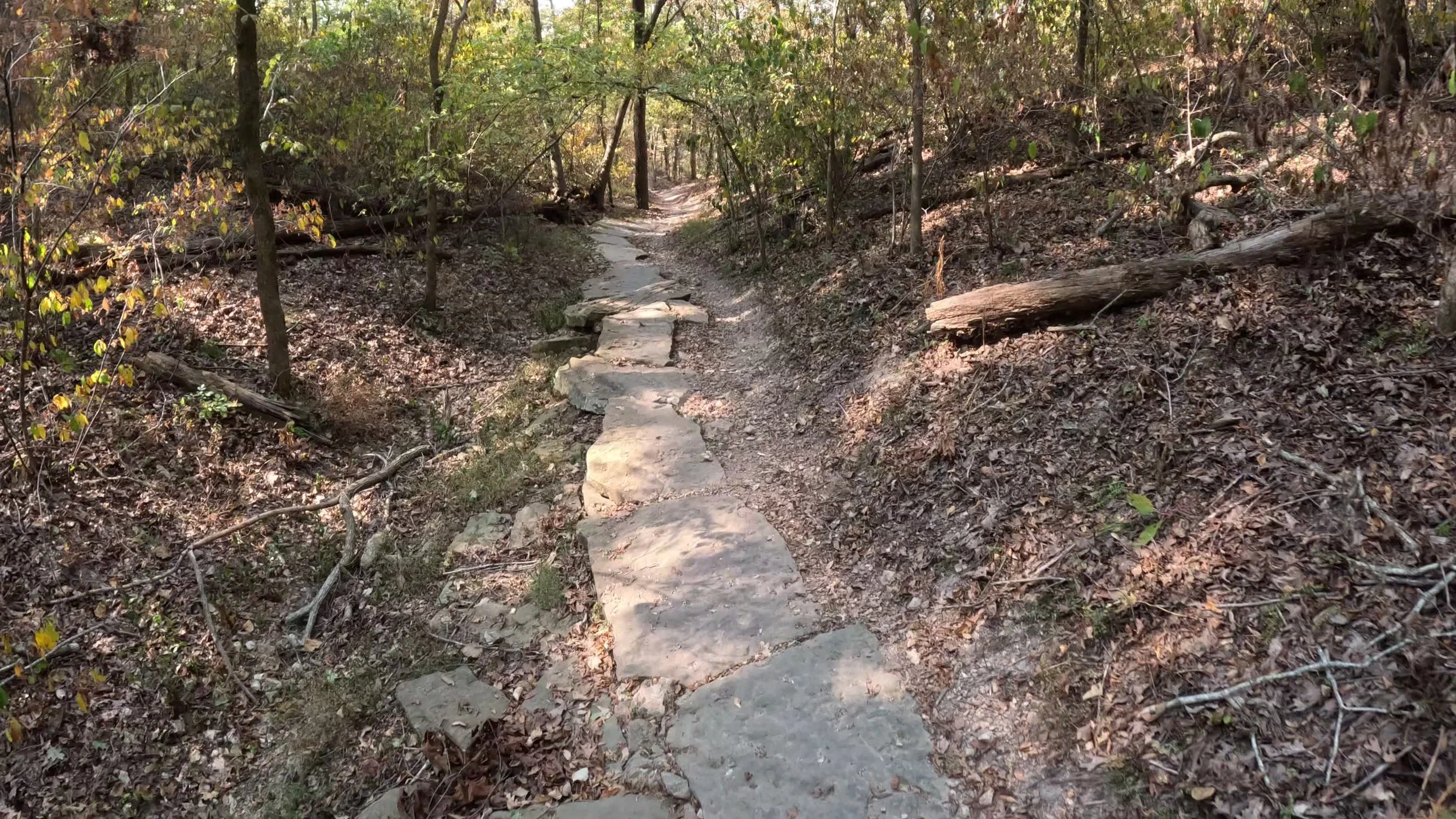 A rocky line choice on Hard way to cafe in Coler MTB preserve in Bentonville Arkansas