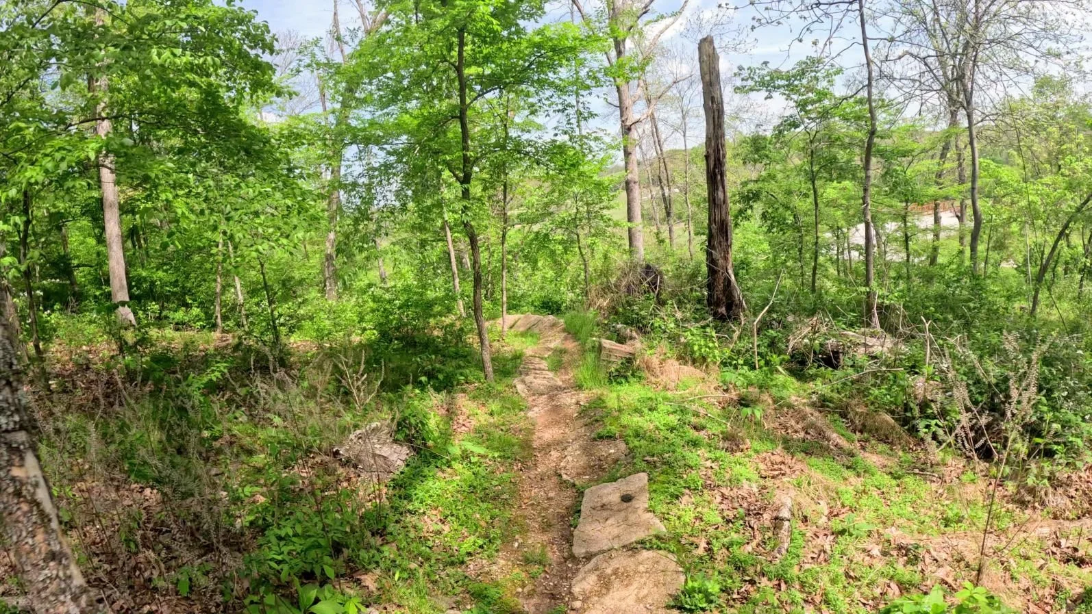A Picture of a singletrack trail that has rock embedded into the trail leading to a similarly embedded berm
