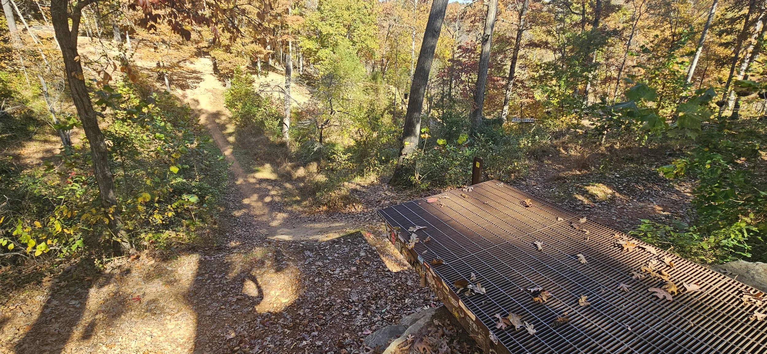 A view from the edge of the Drop the Hammer Ramp showing a 12 foot descent into the ravine below in the Coler MTB Preserve.