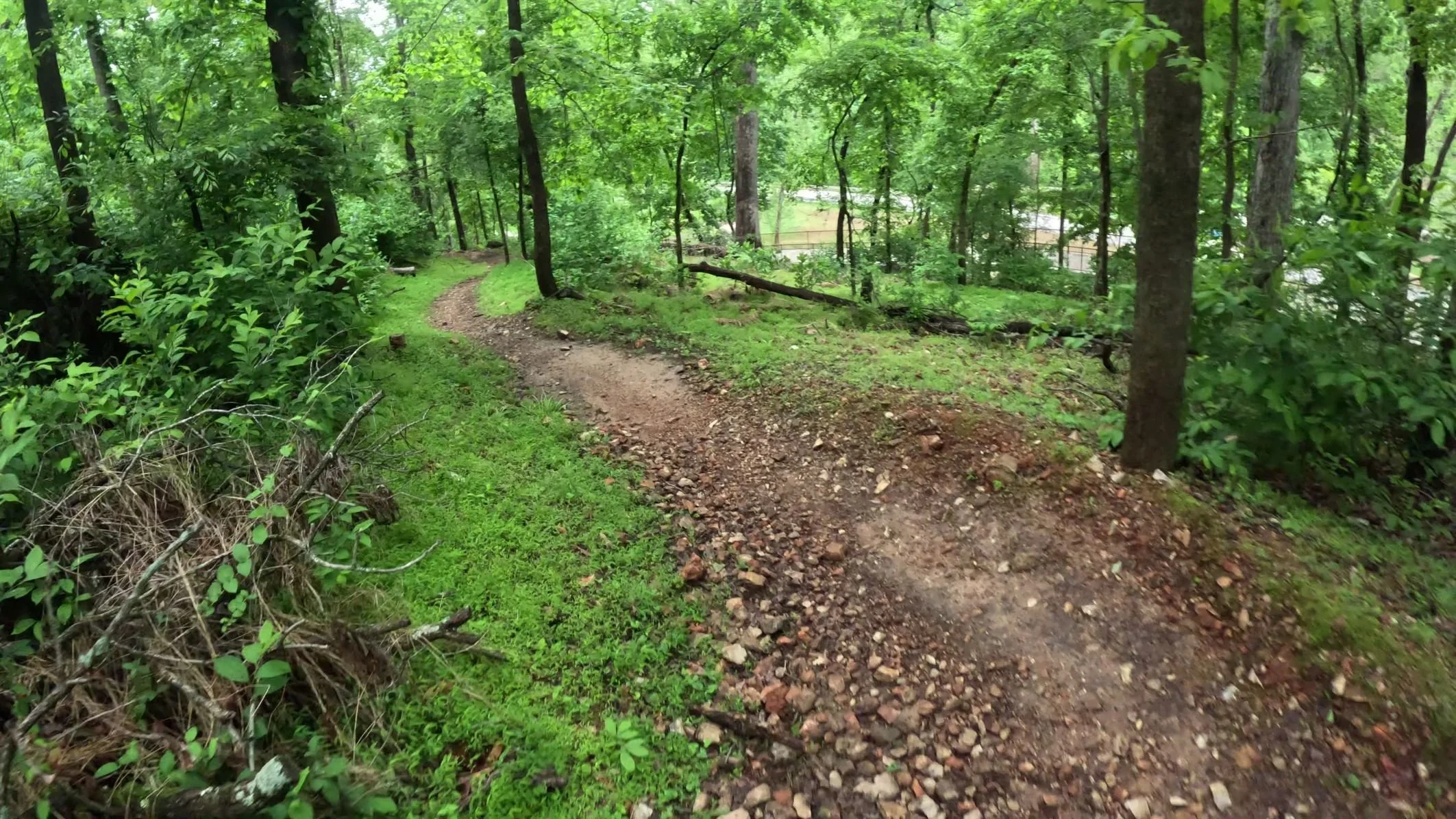 An image of a rocky portion of Moo Moo near the end of the trail in Bentonville's Slaughter Pen Trail System
