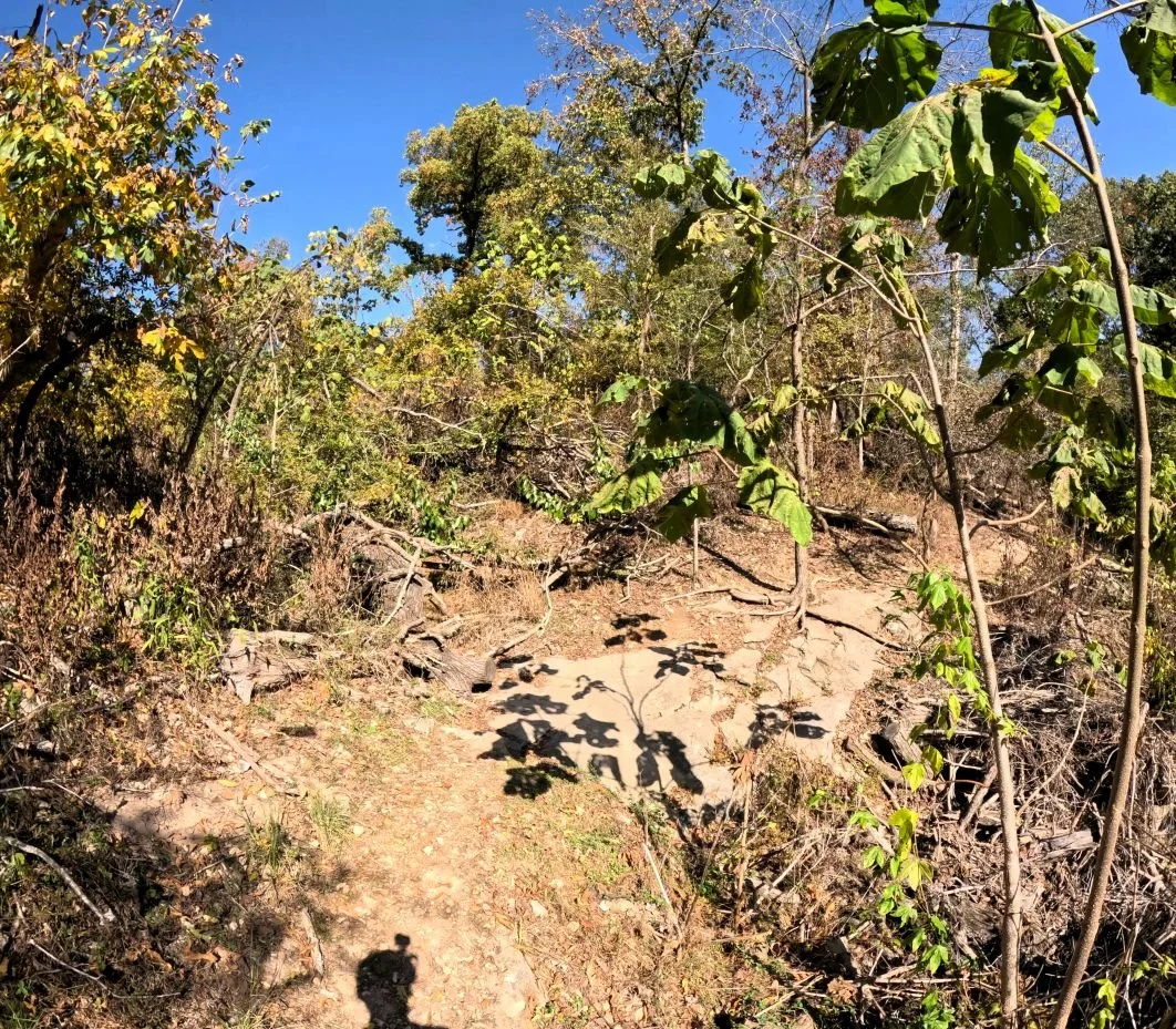 Apple turnover singletrack as it flows over a large rock that also sees water flow over it when it rains and water flows from higher up.