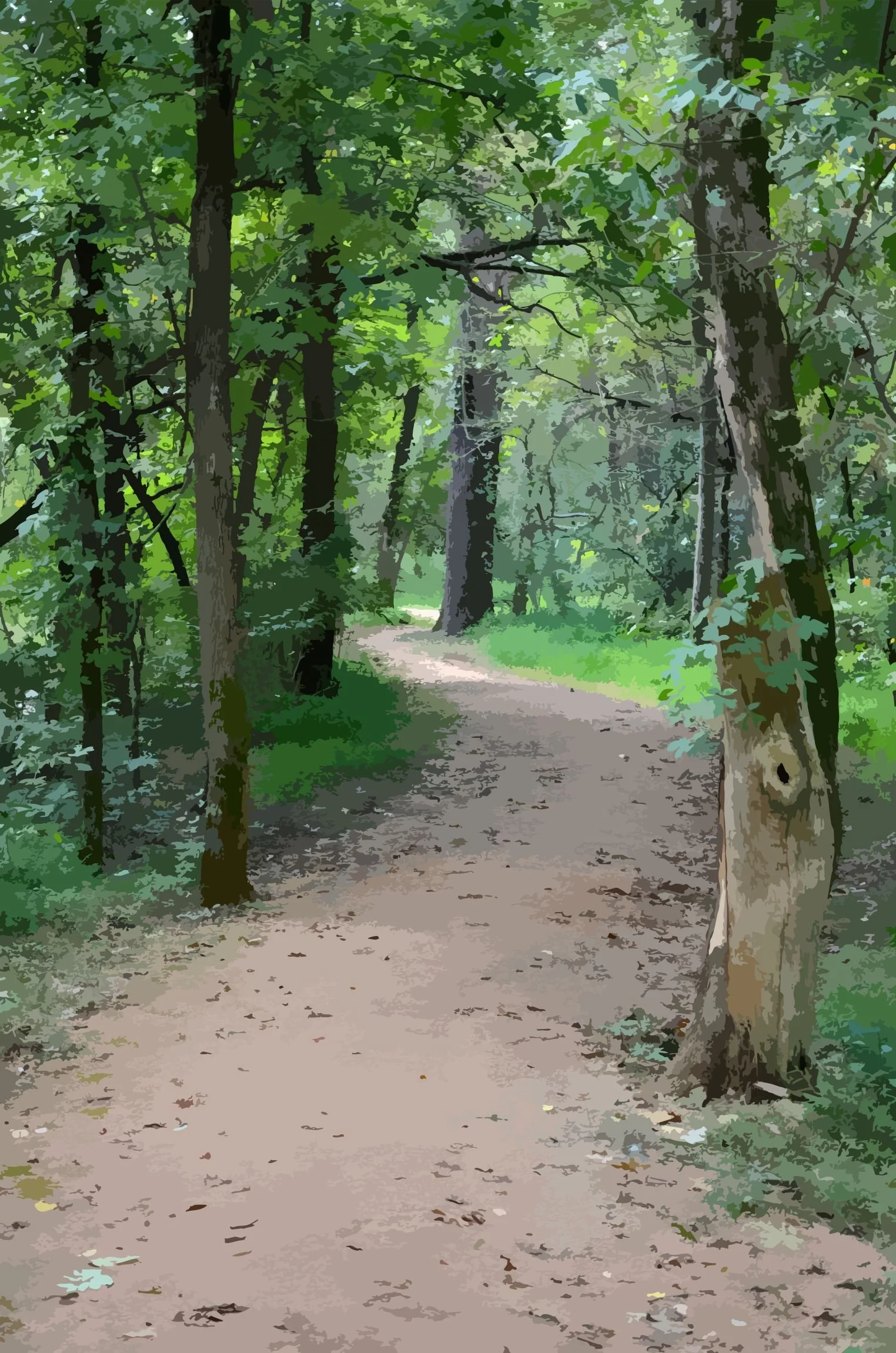Black Apple Creek_Original lr.jpg