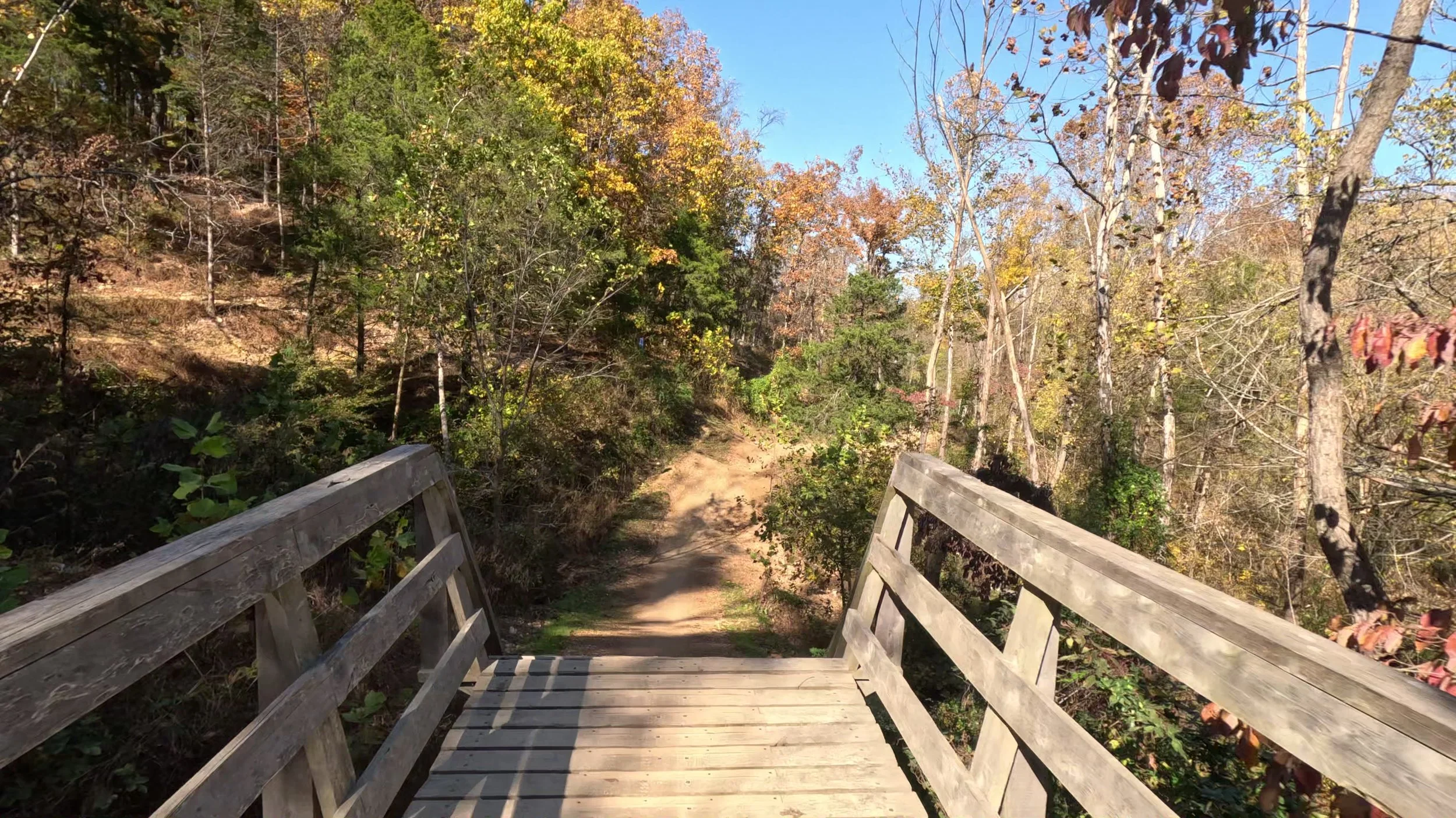 This is a wooden feature on Fireline in Coler MTB Preserve in Bentonville Arkansas