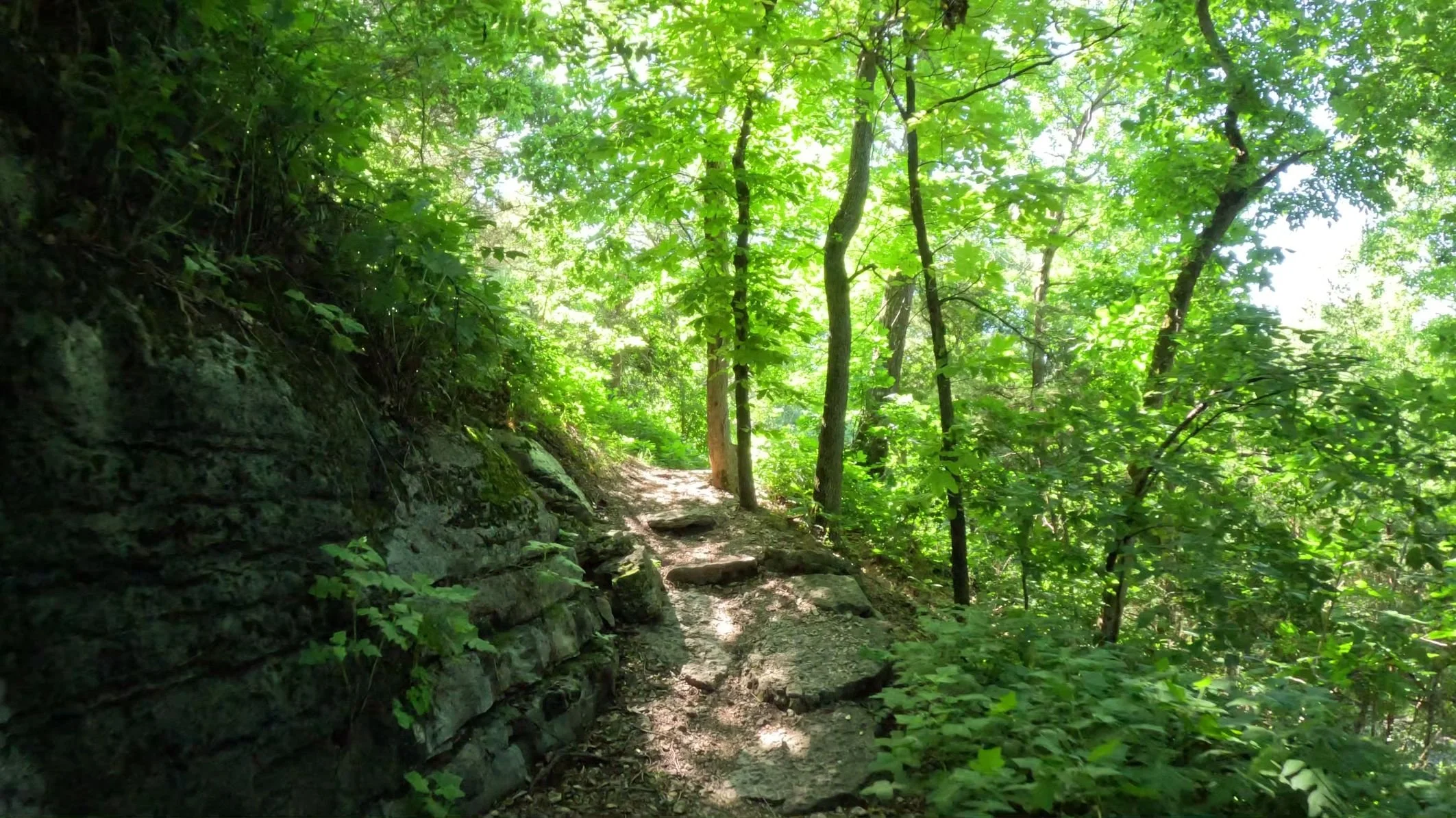 A rock staircase on Sally rising out of a recent drop. The bigger rocks make a unique technical challenge to ride over