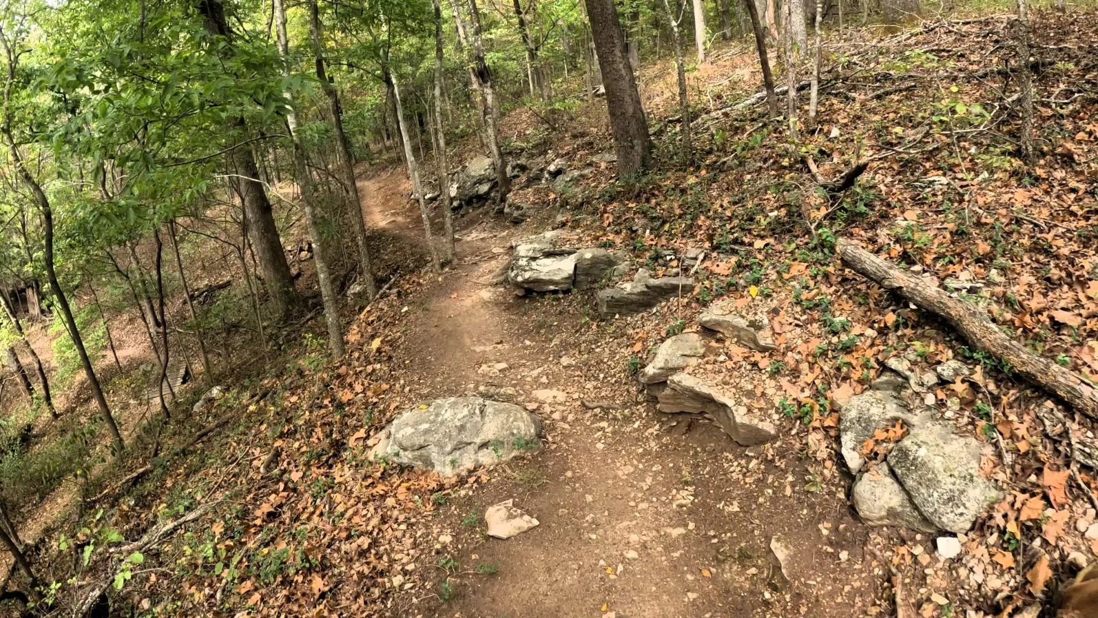 A trail pic of Tatamagouche singletrack as it mirrors the Armadillo's Last Stand Trail further downhill
