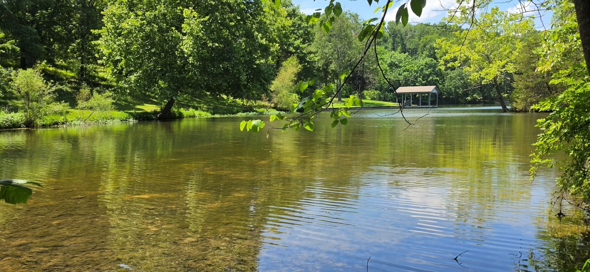 A picture of a lake that is found off of the main Tweety Bird Trail before the trail turns back towards the trailhead