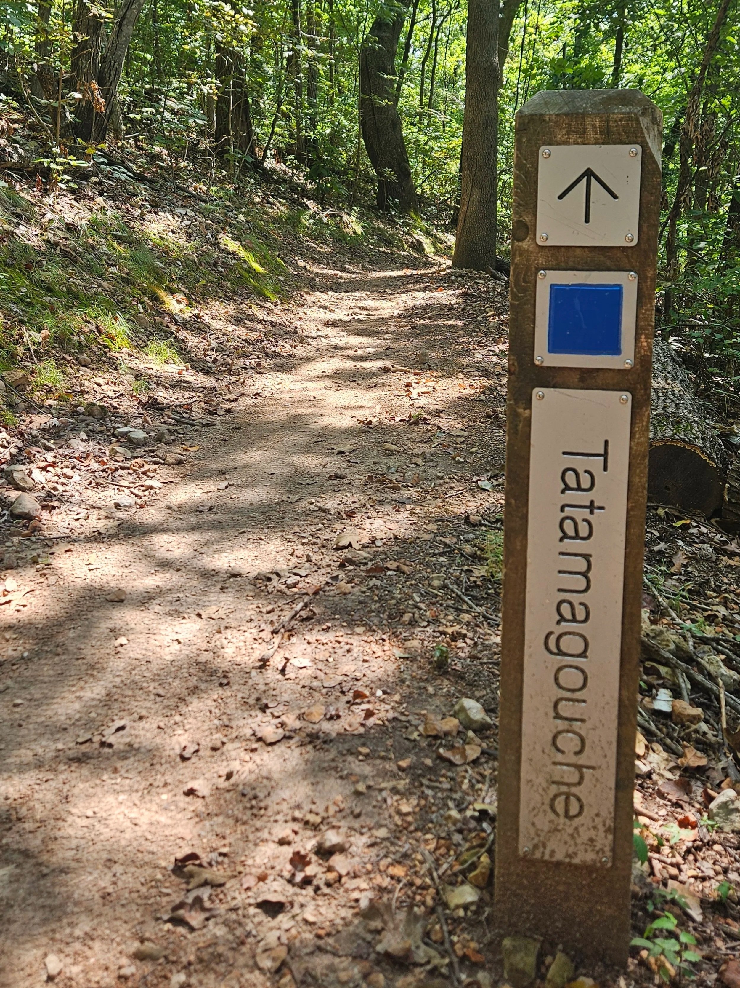 The sign for the Tatamagouche trail indicating the direction of travel as trail continues down the narrow pathway in the Slaughter Pen Trail system in Bentonville Arkansas.