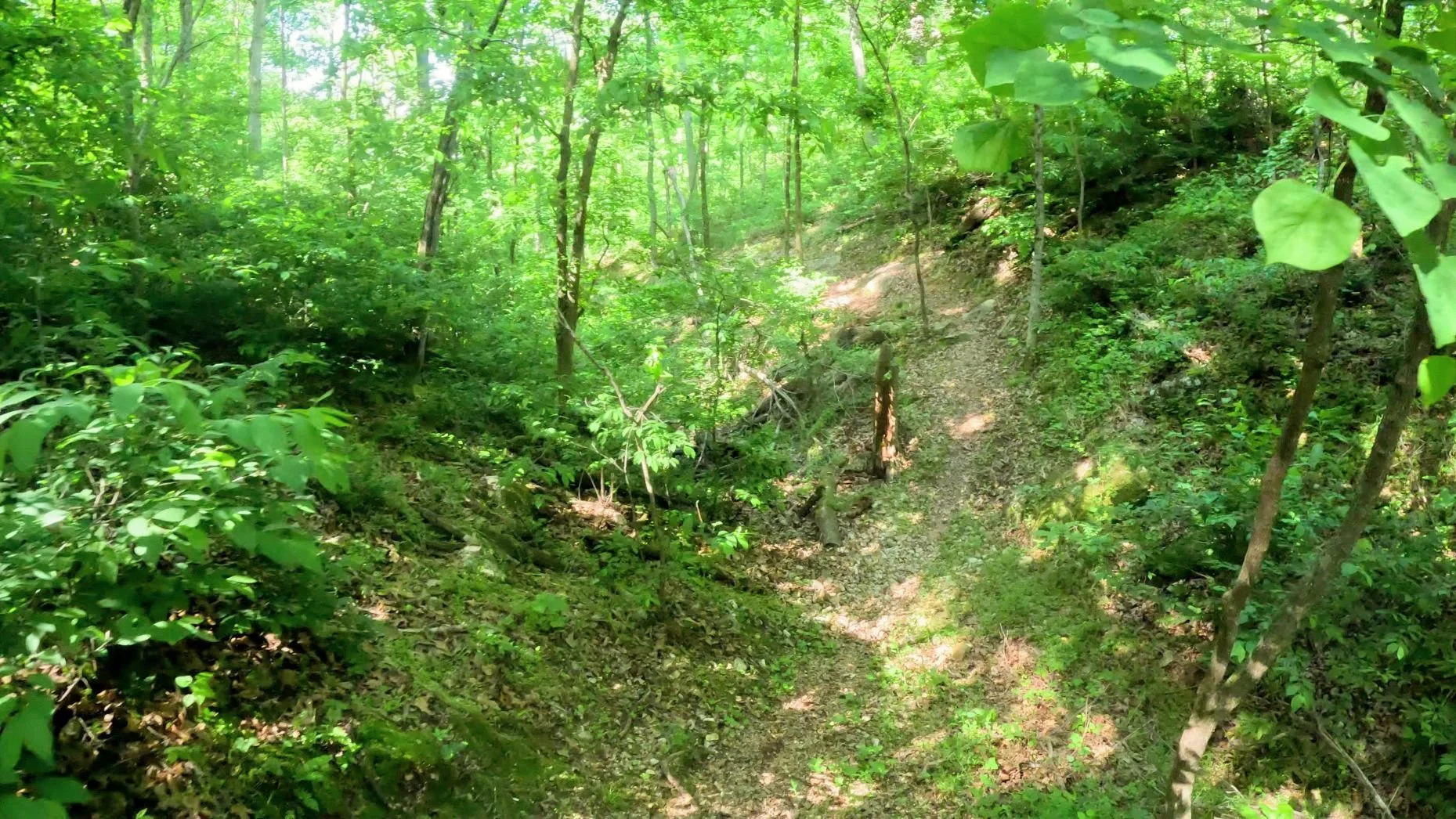 An image of the Sufferin Singletrack as it crosses a dry creekbed