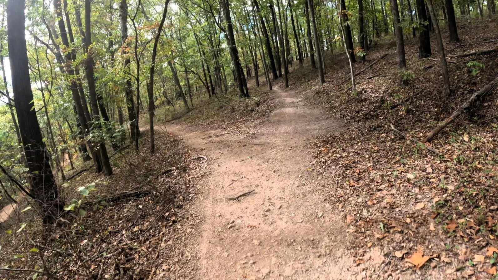 Tatamagouche Trail fork where the right option goes to the Blue and Black Alt Lines and the left goes to the end of Jesse's Last stand. Pic is taken near the Jesse's Last stand trailhead