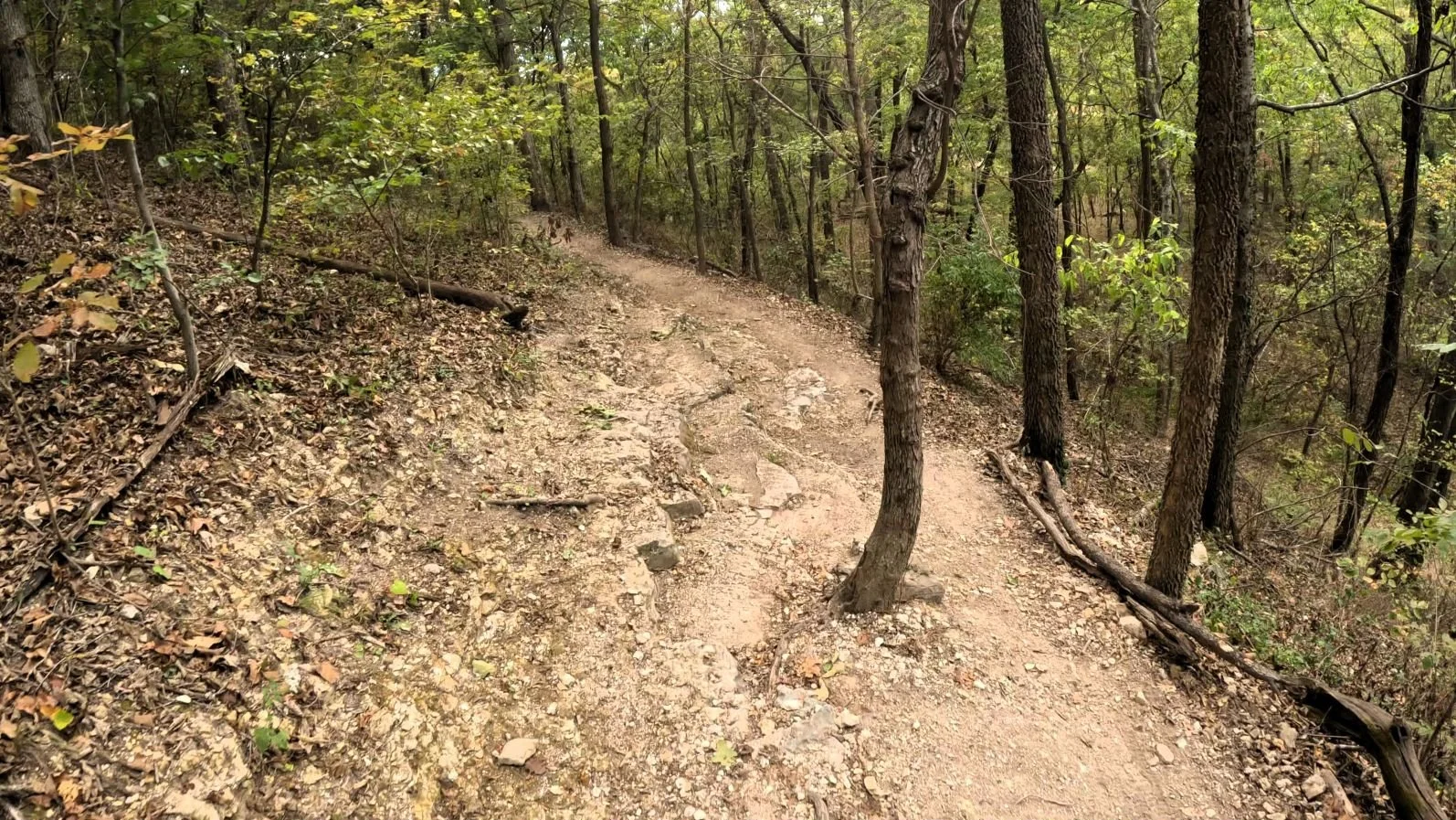 A spicy section of Tatamagouche singletrack