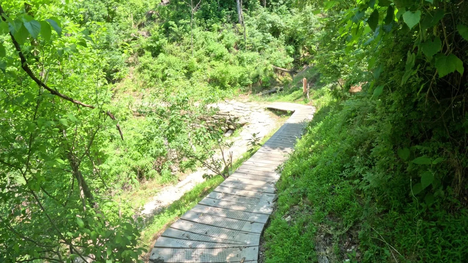 The final ramp that merges Black Limisin with Angus Chute