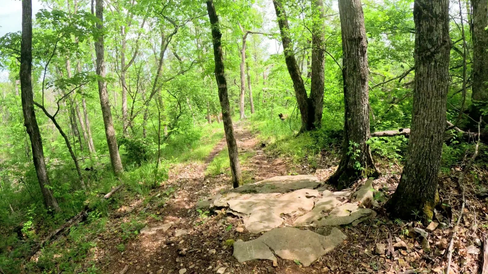 A picture of one of the alt lines on interplanet janet featuring a short drop off of a rock