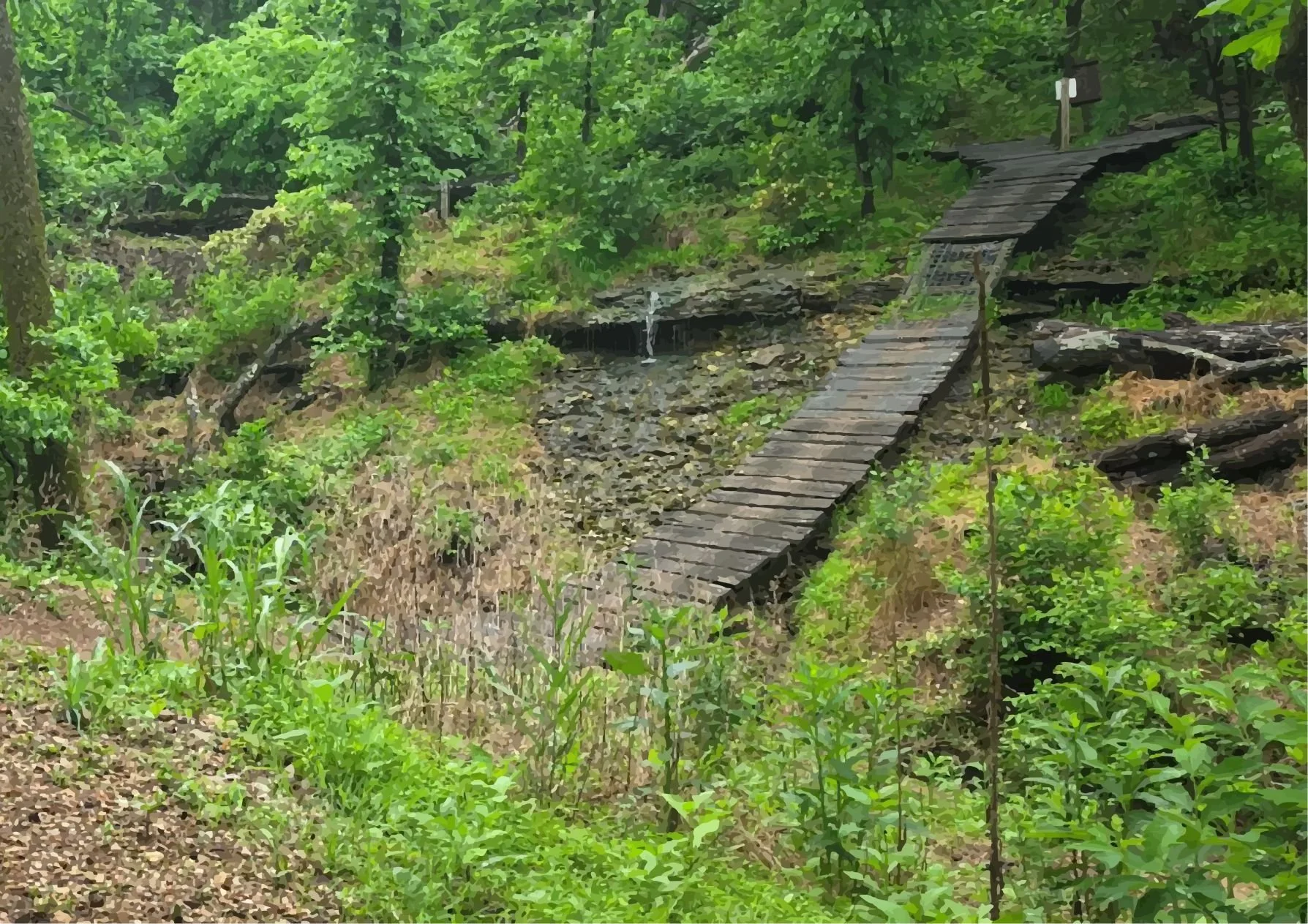 Berm Creek Ramp Trail Art lr.jpg