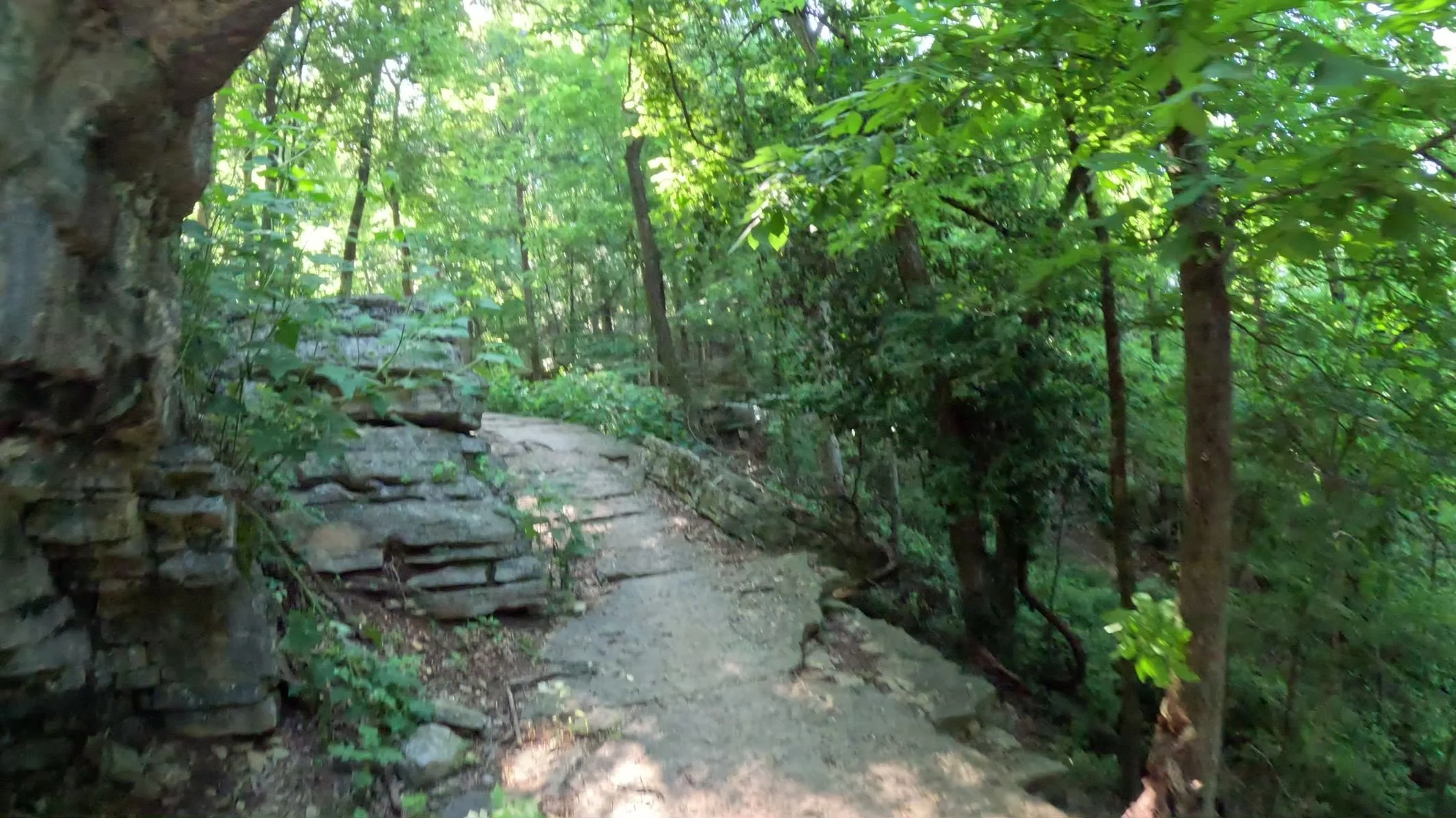 Near the end of Sally Trail is a rocky staircase that follows the curve of the hill