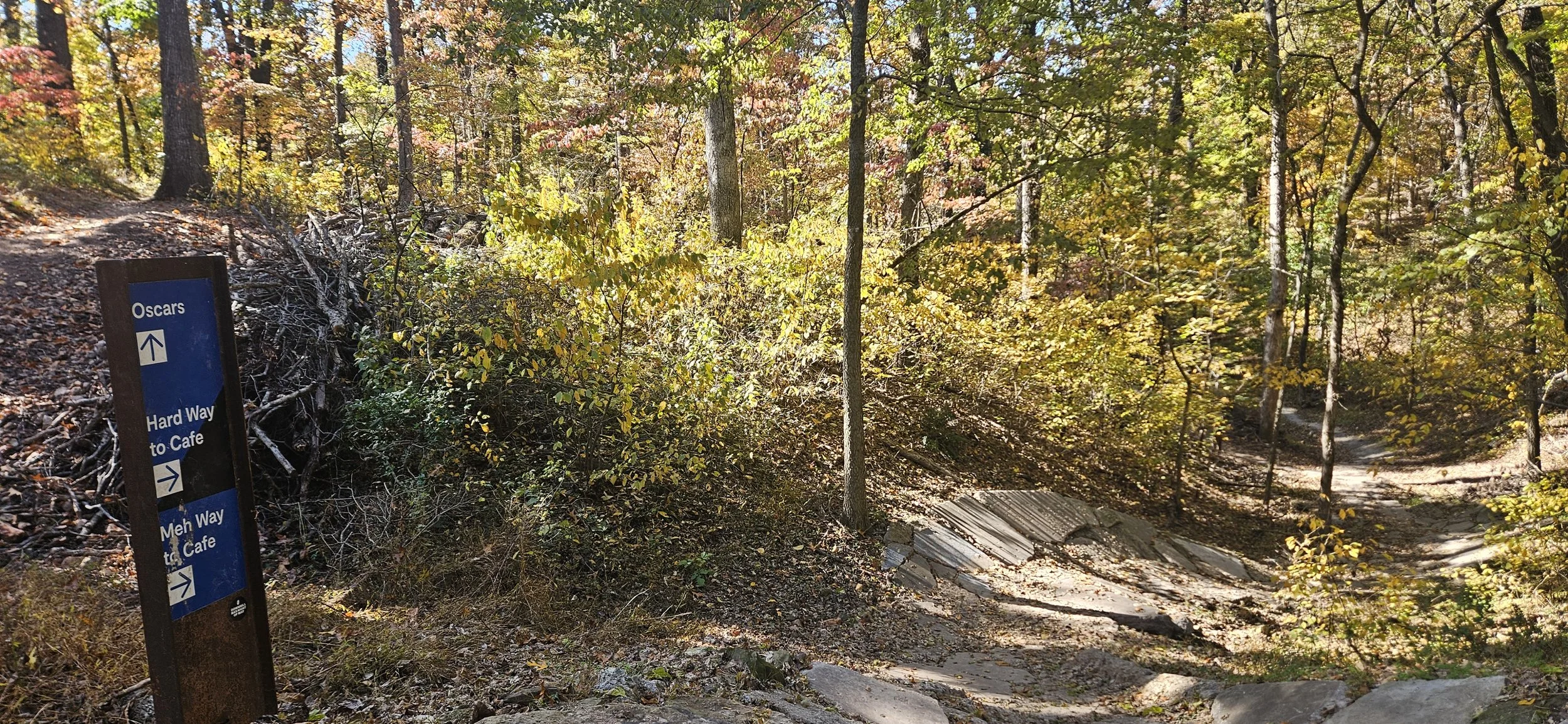 A view of where the blue rated Oscar's loop intersects with Hard Way to the Cafe a black diamond tech trail located in Coler MTB Preserve.