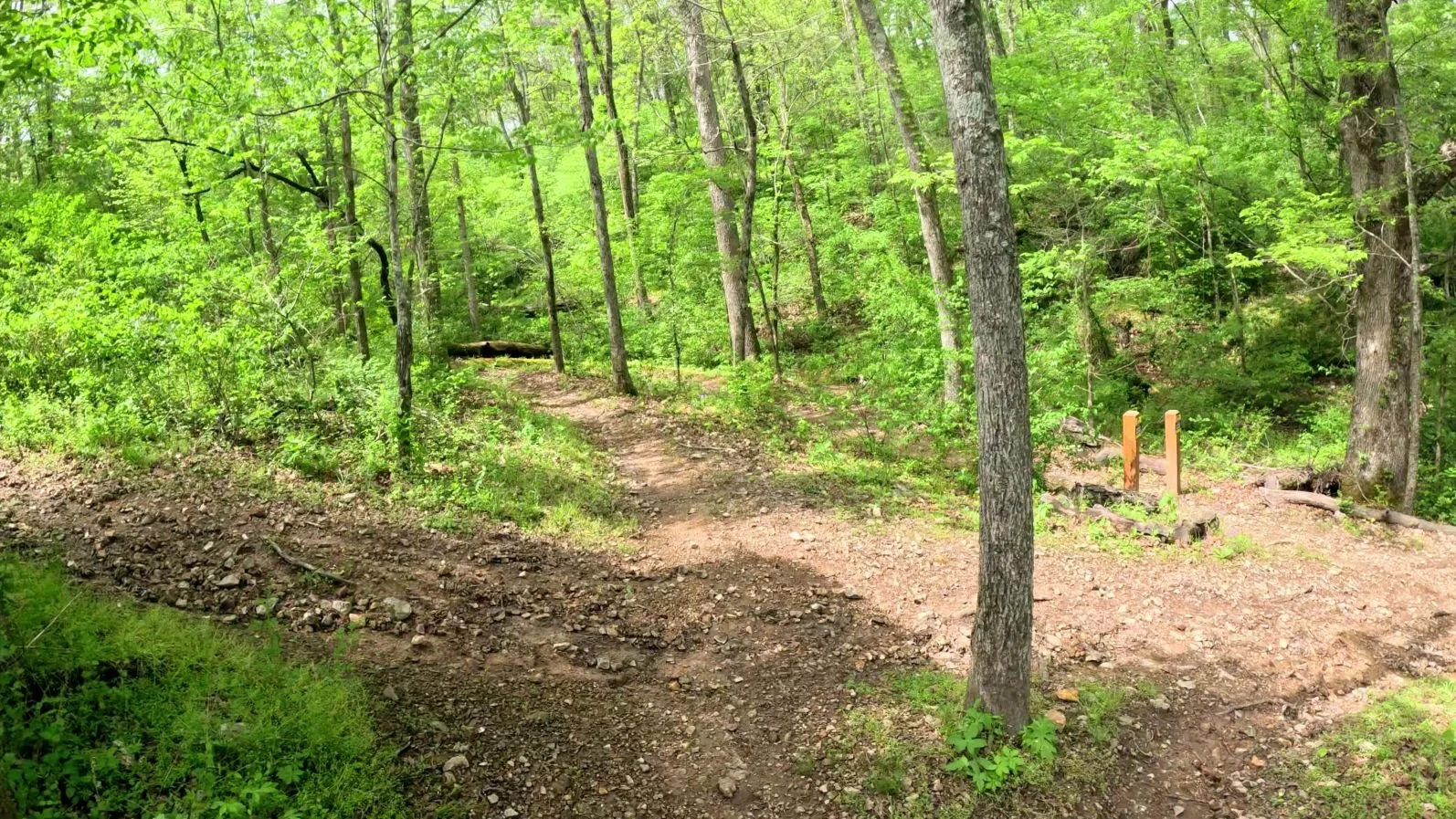 A picture of the end of Interplanet Janet trail