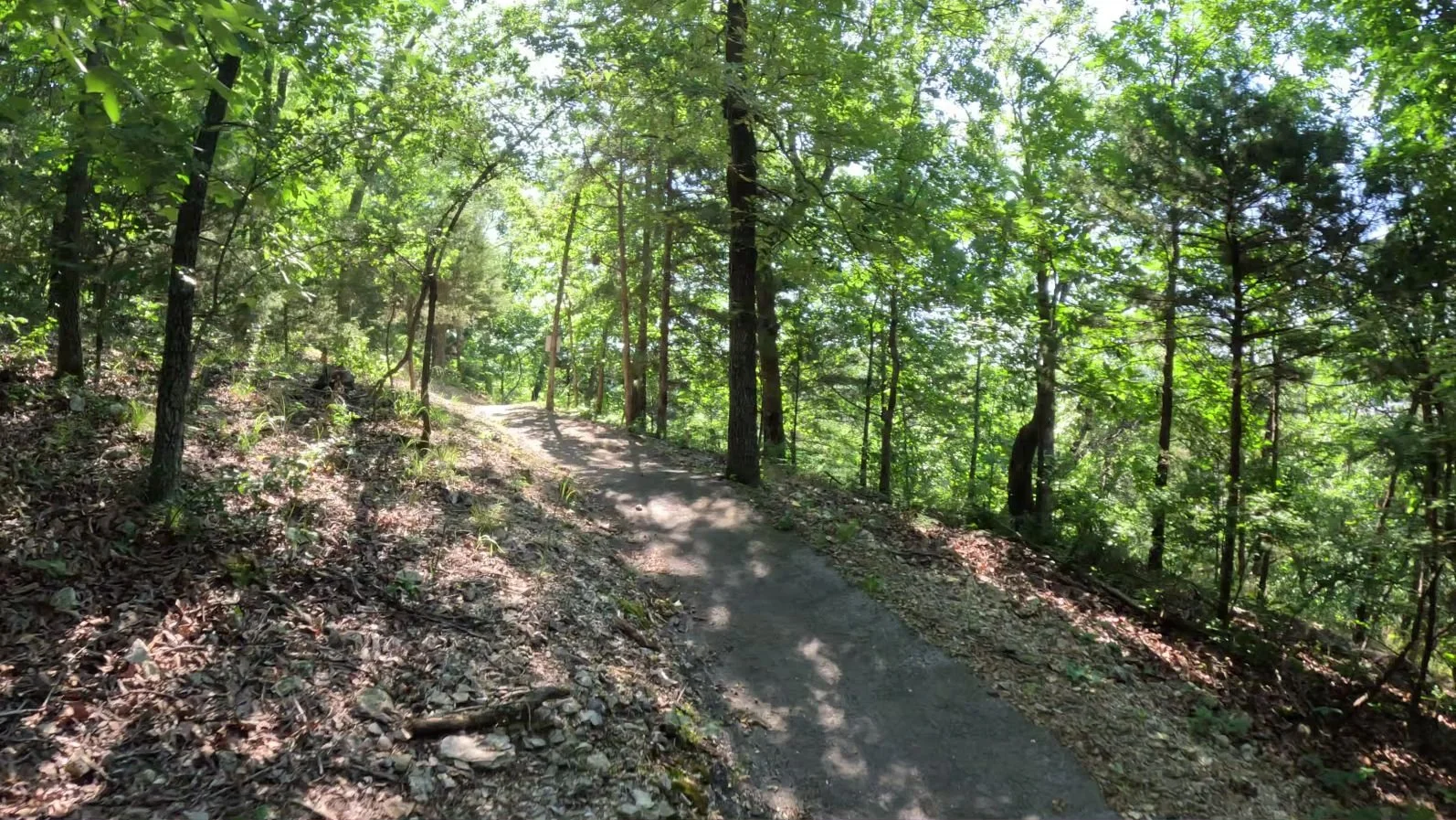 A picture of the end of the Ace of Spades Trail in Bella vistas Wonderland Trail System
