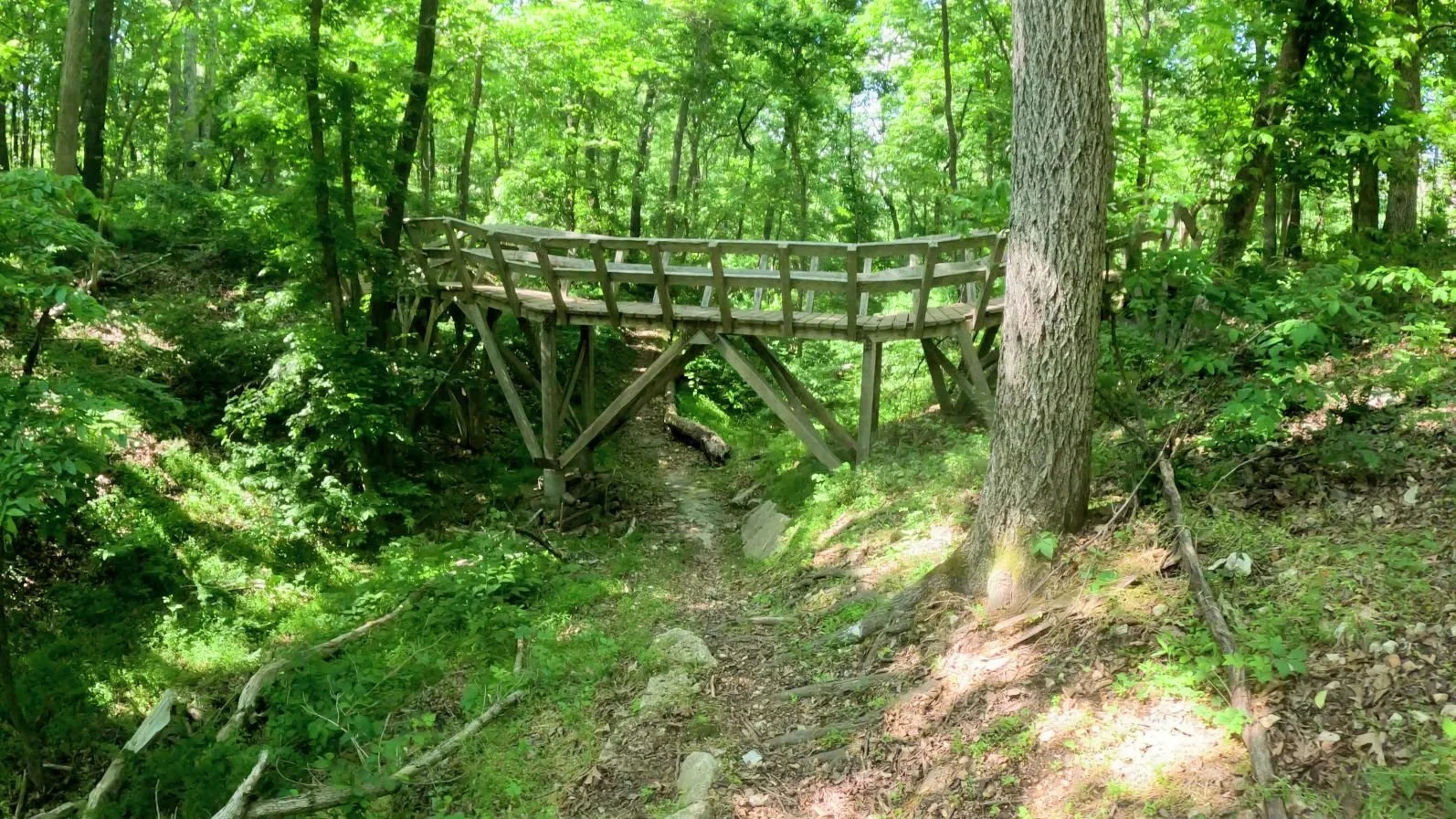 A picture of one the Sufferin trail as it flows under one of the wooden bridges in Handcut Hollow
