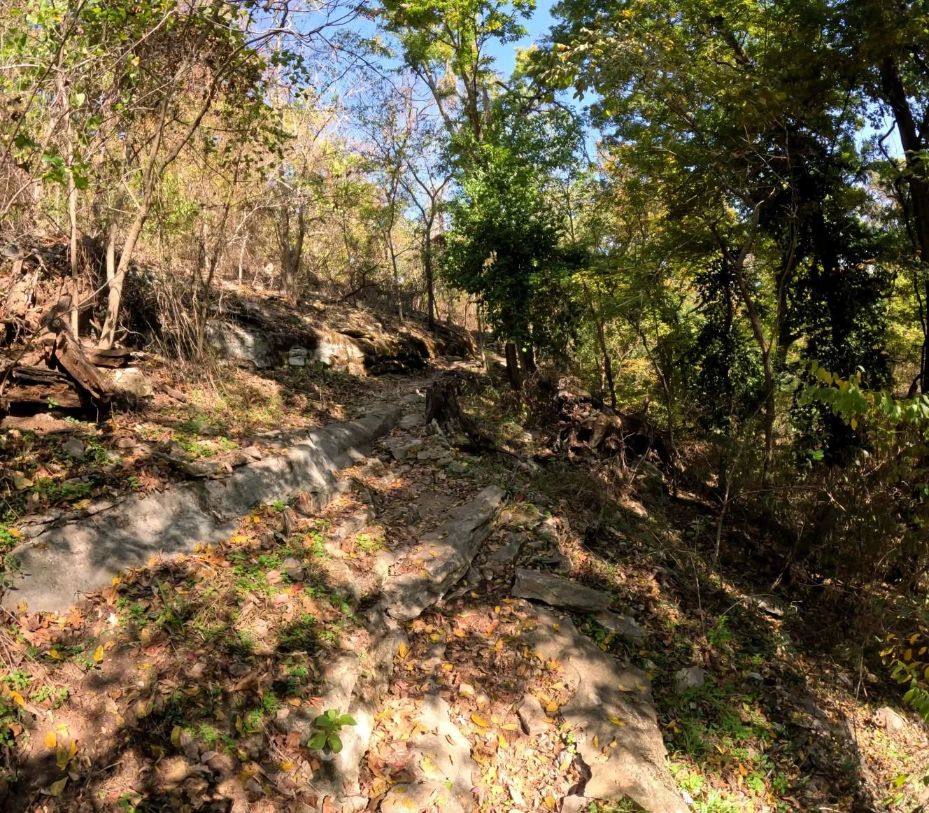 Apple Turnover Rock layers that are integrated into the trail forcing the rider up and over at a diagonal before reaching the top of this section