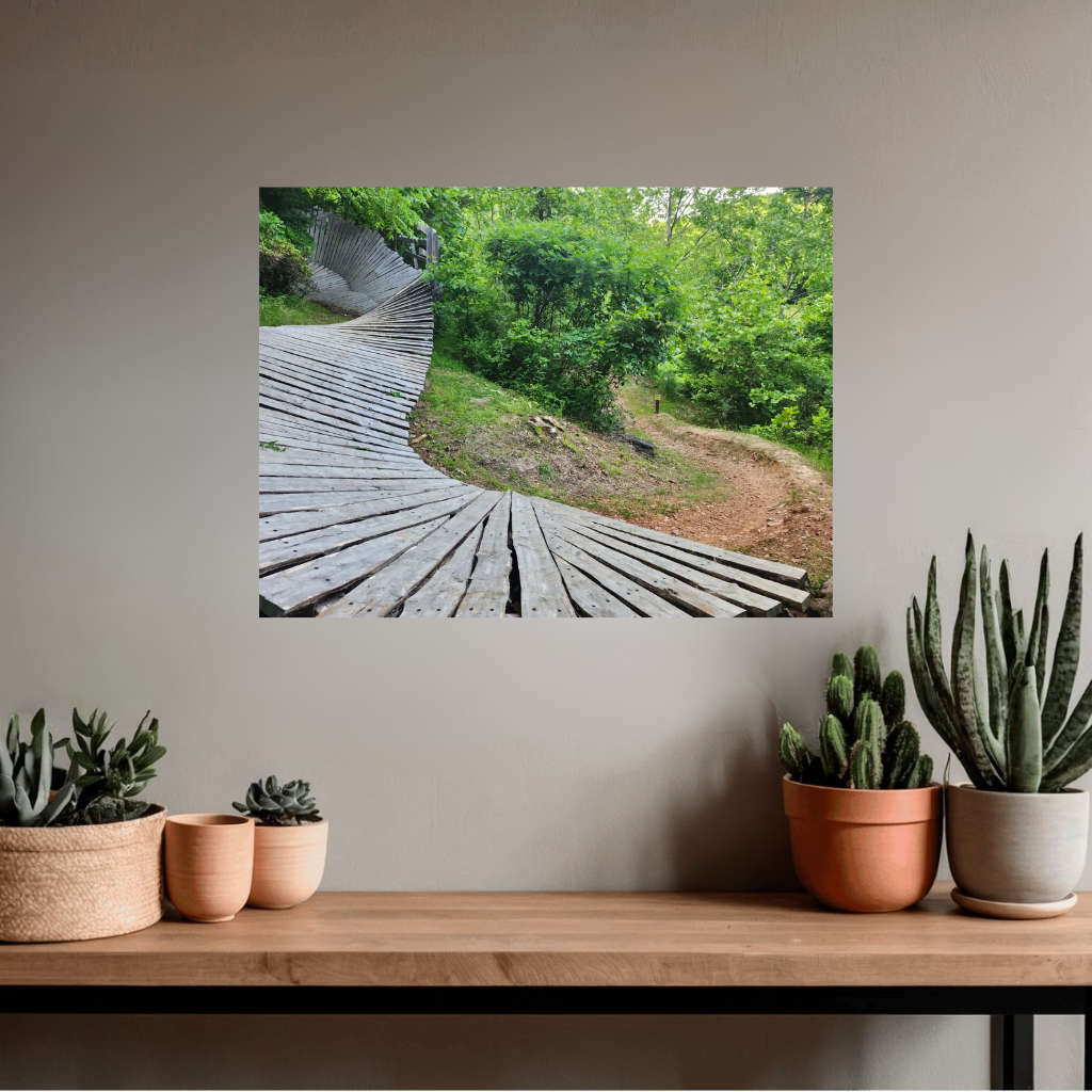 Boneyard Ramp Trail Art Mockup.png