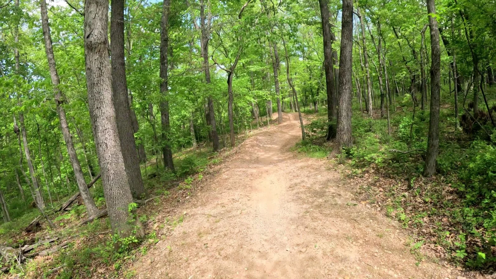 A view of the smooth and flowy Family Flow Trail in Coler MTB Preserve.