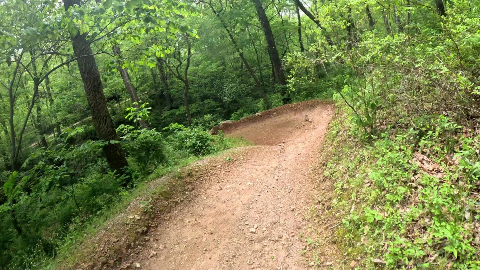 One of Family Flow's big berms featuring a steeper berm near the end of the trail.