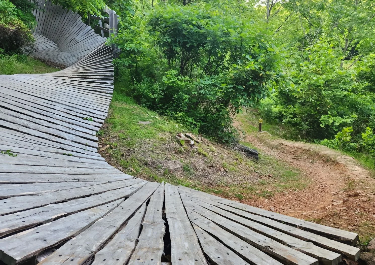 Boneyard Ramp - lr updated.jpg