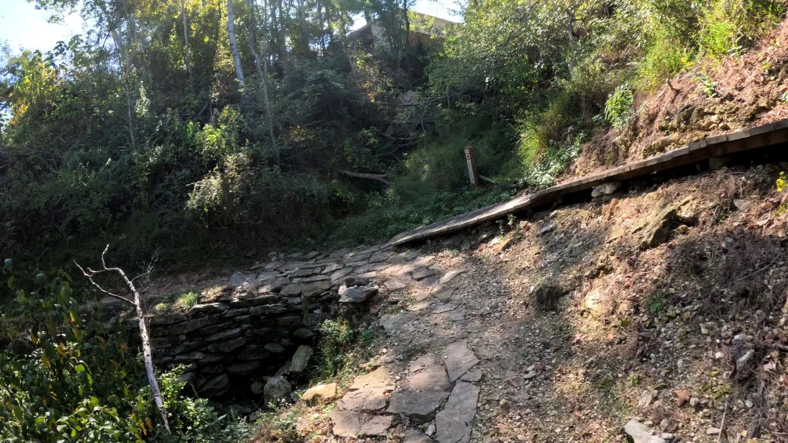 A picture of where Angus Chute and Black Limosin combine. Black Limosin follows a wooden ramp down to where it connects with Angus chute