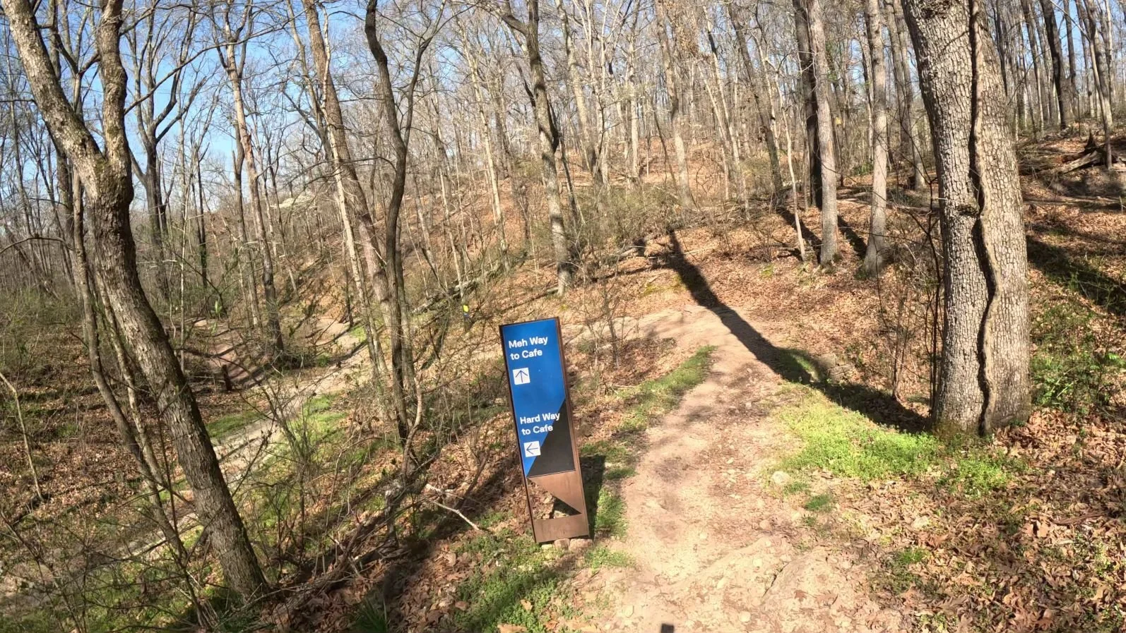 A picture of the trailhead at the top of Meh Way to Cafe Trail in Coler MTB Preserve