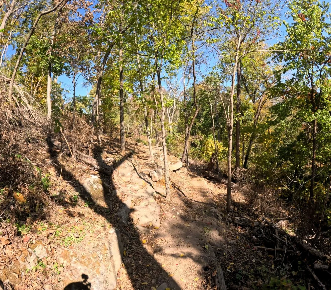 Apple turnover singletrack showing a line choice to either ride up and over a narrow stretch over several rocks and beside multiple trees or to the right a more mellow option that rides below those rocks and trees