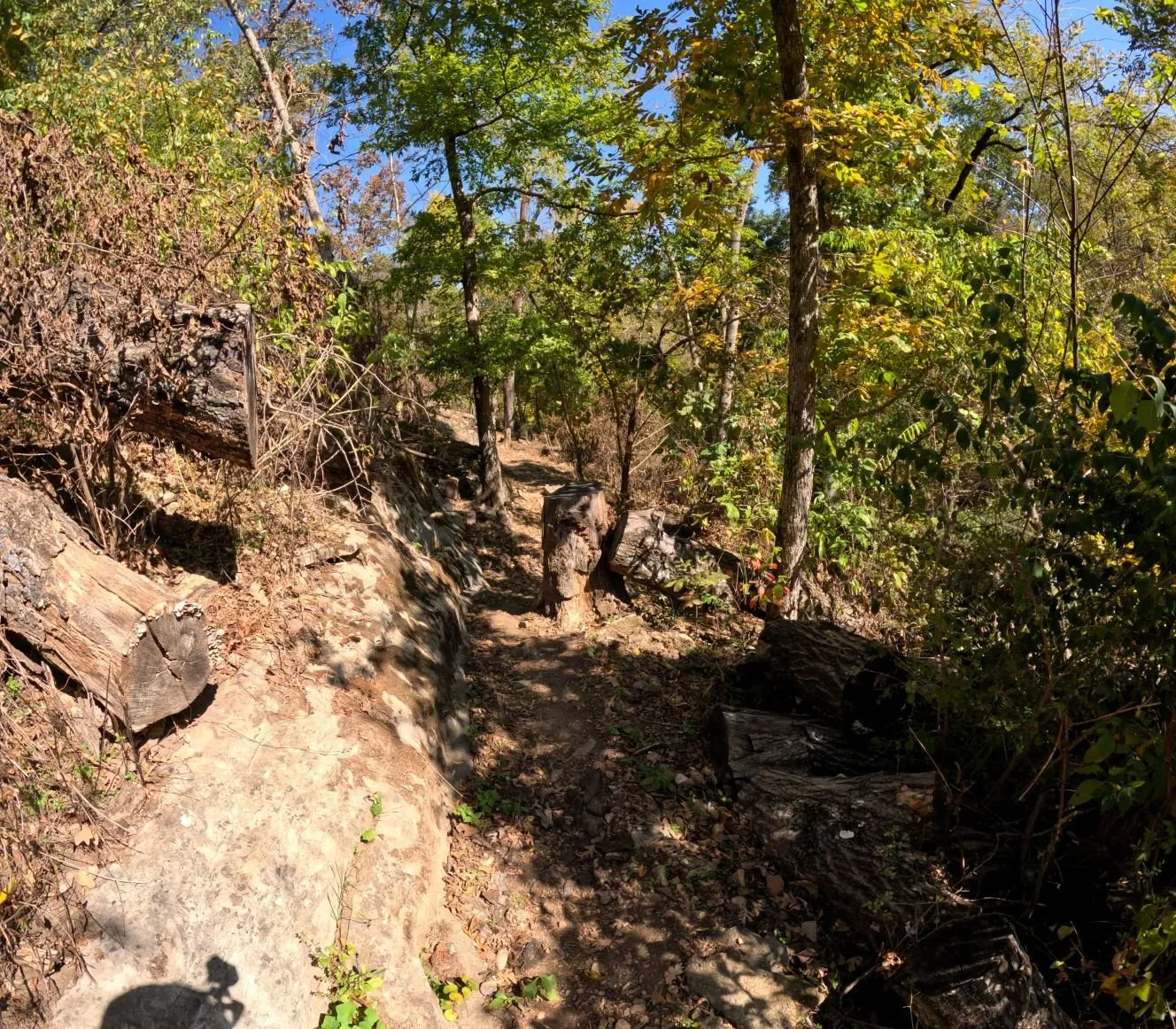 A narrow section of Apple Turnover where the trail narrows with a rock wall on the left and a tree stump and the hillside to the right