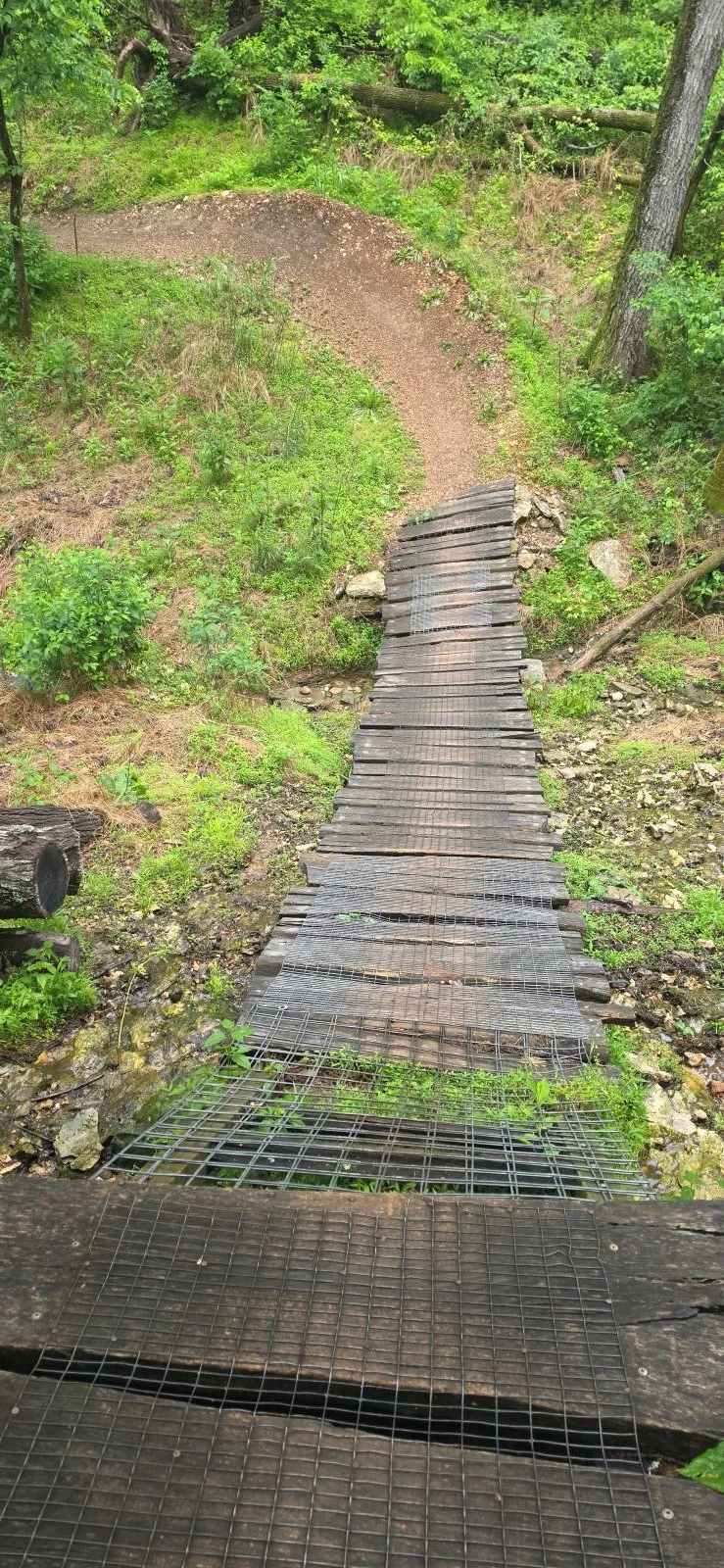 A picture looking down the steep ramp on Berm Creek Trail in Bentonville's Slaughter Pen