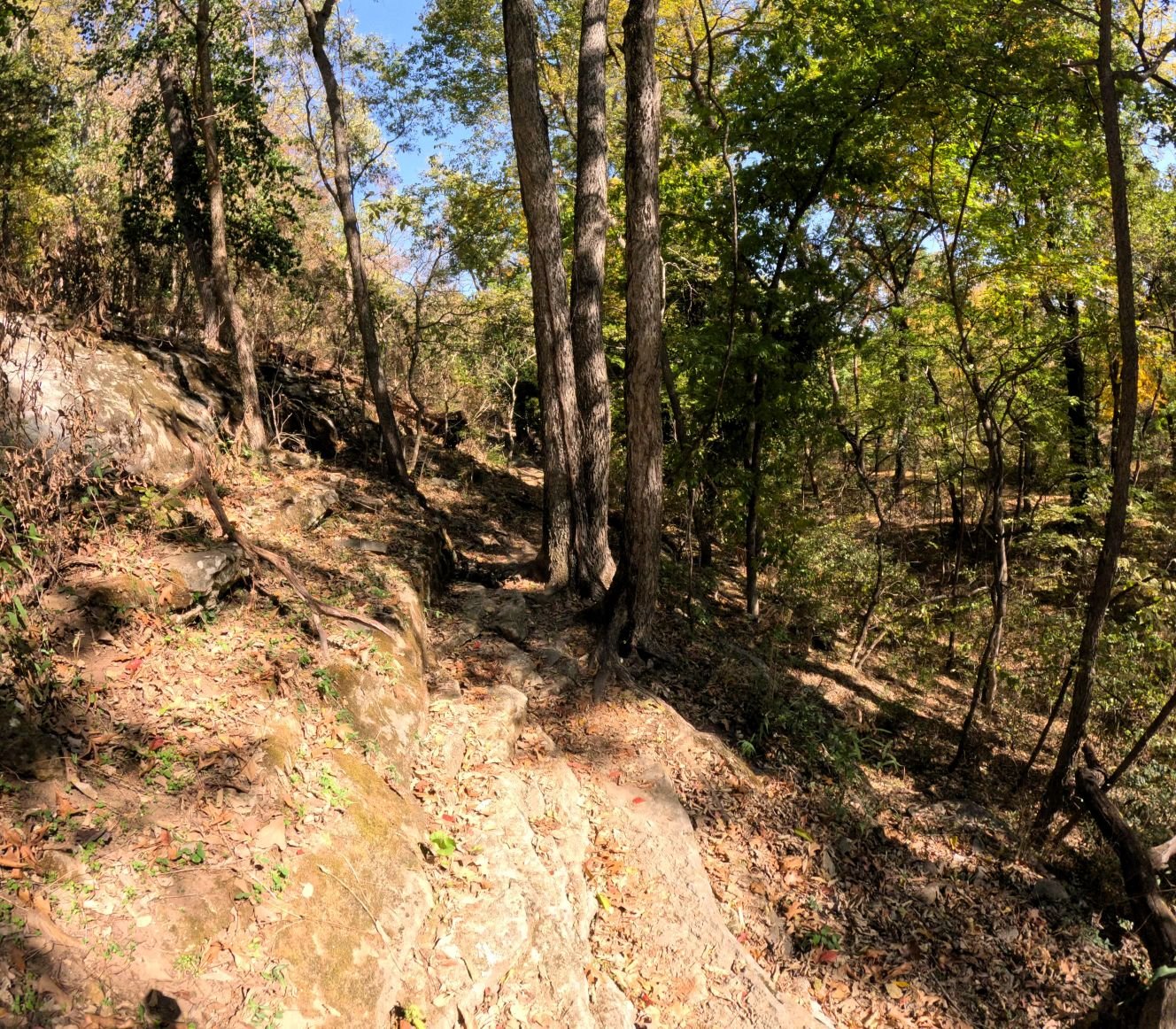 Apple turnover singletrack where the trail narrows with a rock wall on the left and the trail forcing the rider to ride over several layers of rock before narrowing to pass by a tree on the right side with the hill exposure also on the right side