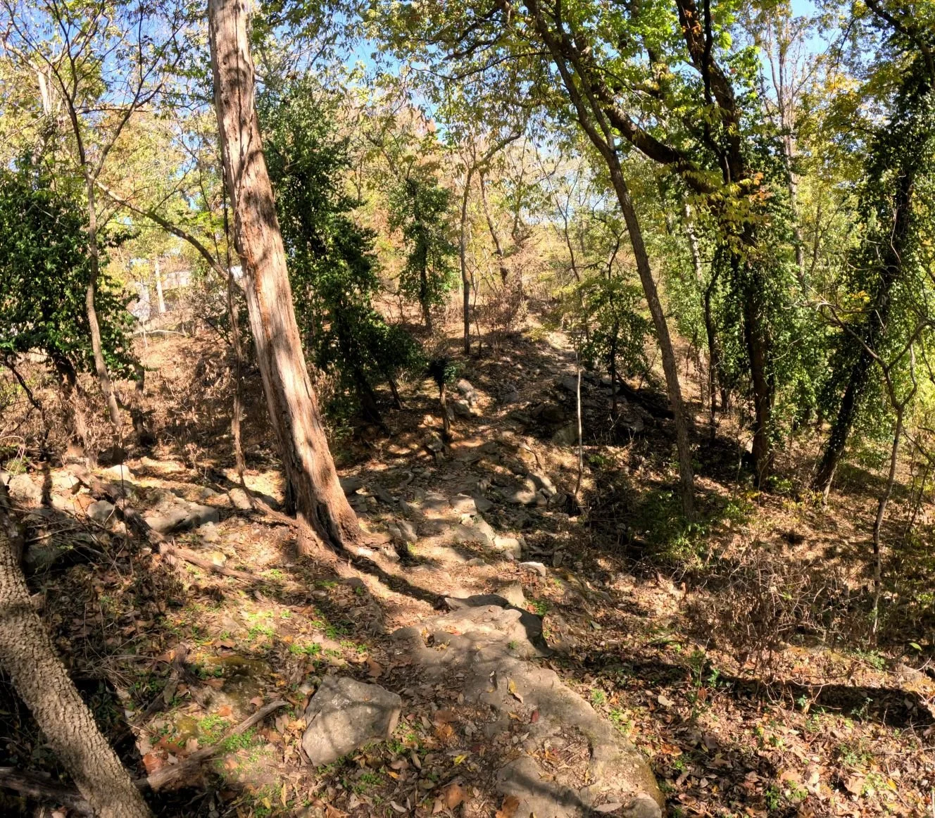 Apple Turnover singletrack as it flows down into a rock covered gully before climbing up a challenging rocky section