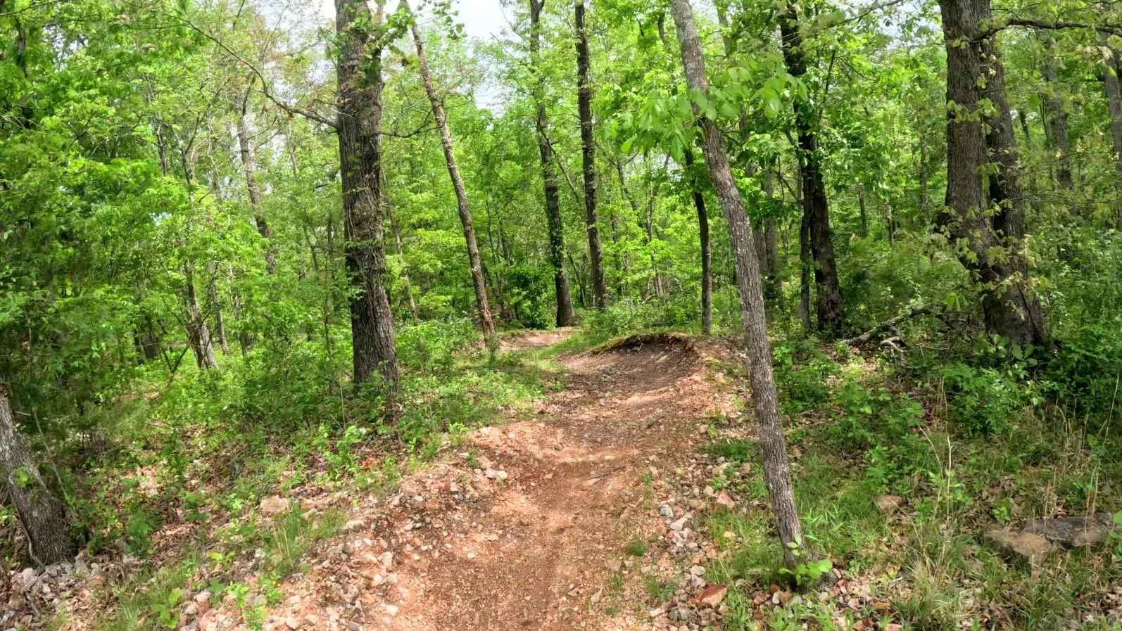 Picture of the curvy singletrack on Interplanet Janet