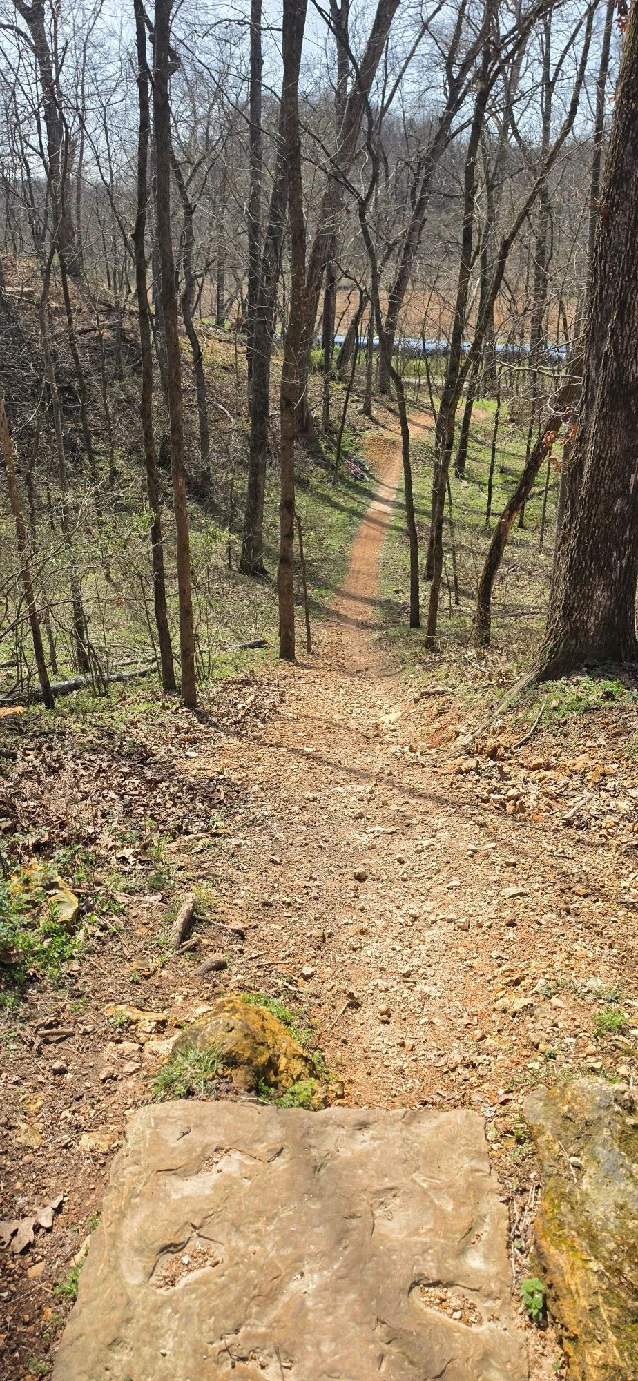 A view from the top of the drop into the ravine on the Loam wolf Trail.