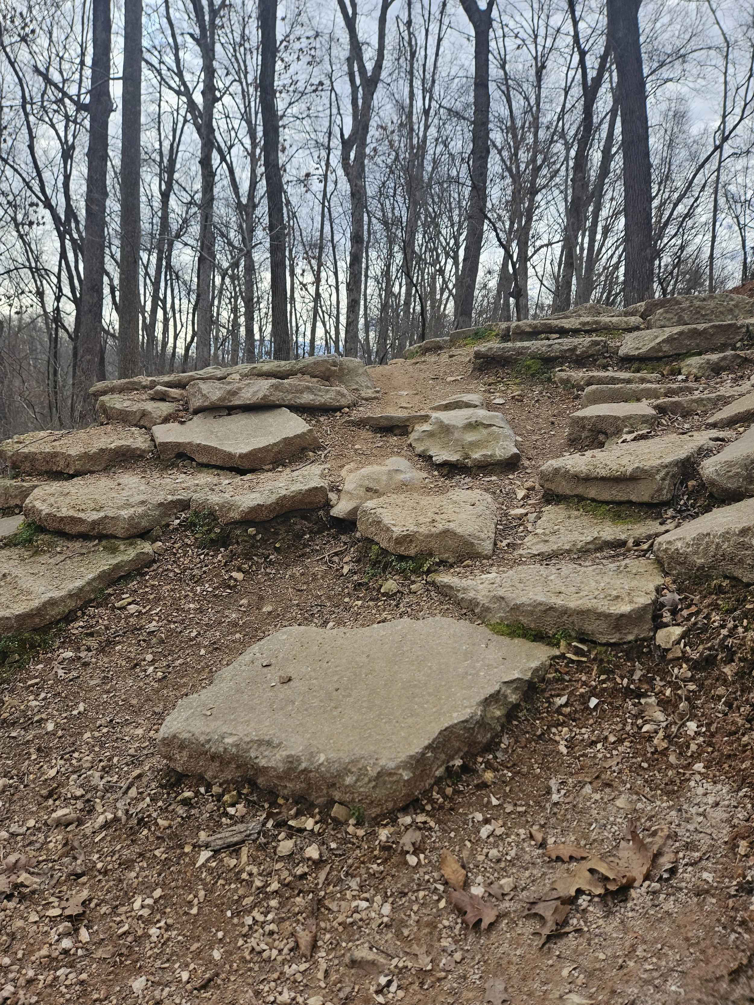 A view of a steep and chunky rock section found on the Rim Trail in Slaughter Pen