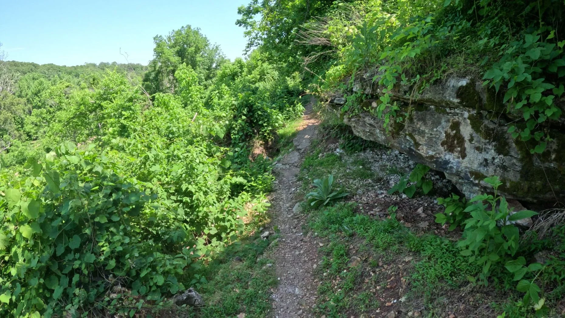 The scenic ridgeline stretch of singletrack that makes Black Limosin a memorable trail